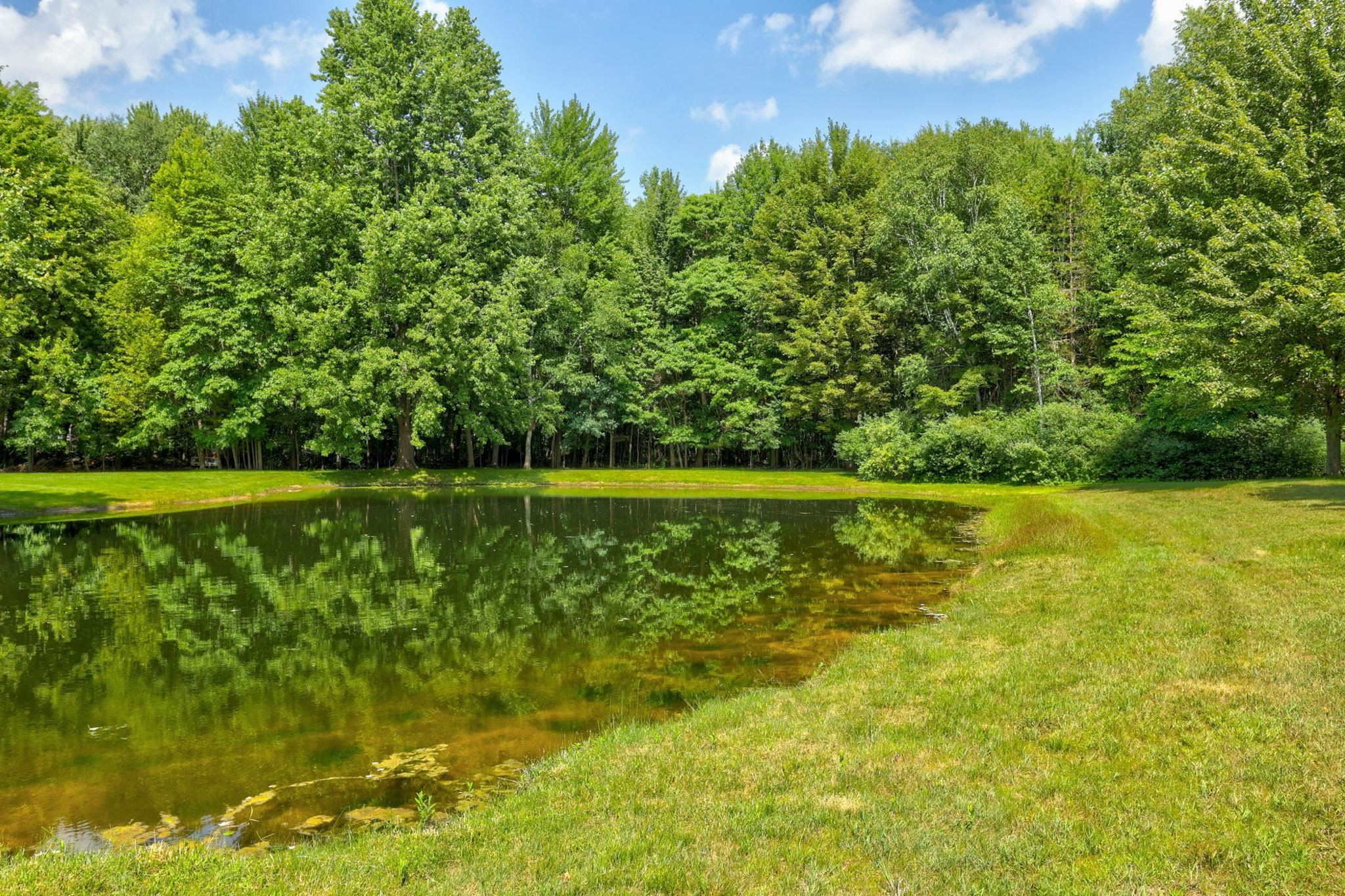 8665 S Gera Road, Birch Run, MI 48415 — Photo 54