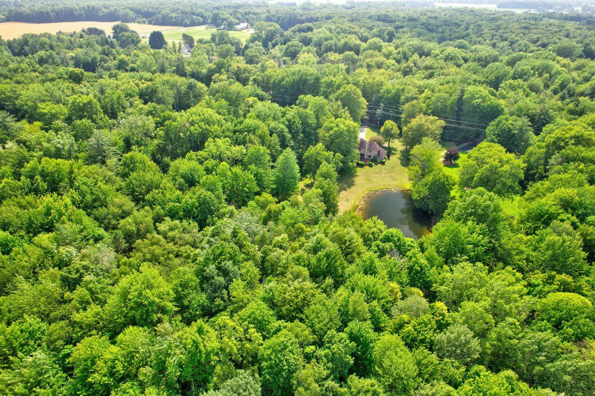 8665 S Gera Road, Birch Run, MI 48415 — Photo 63