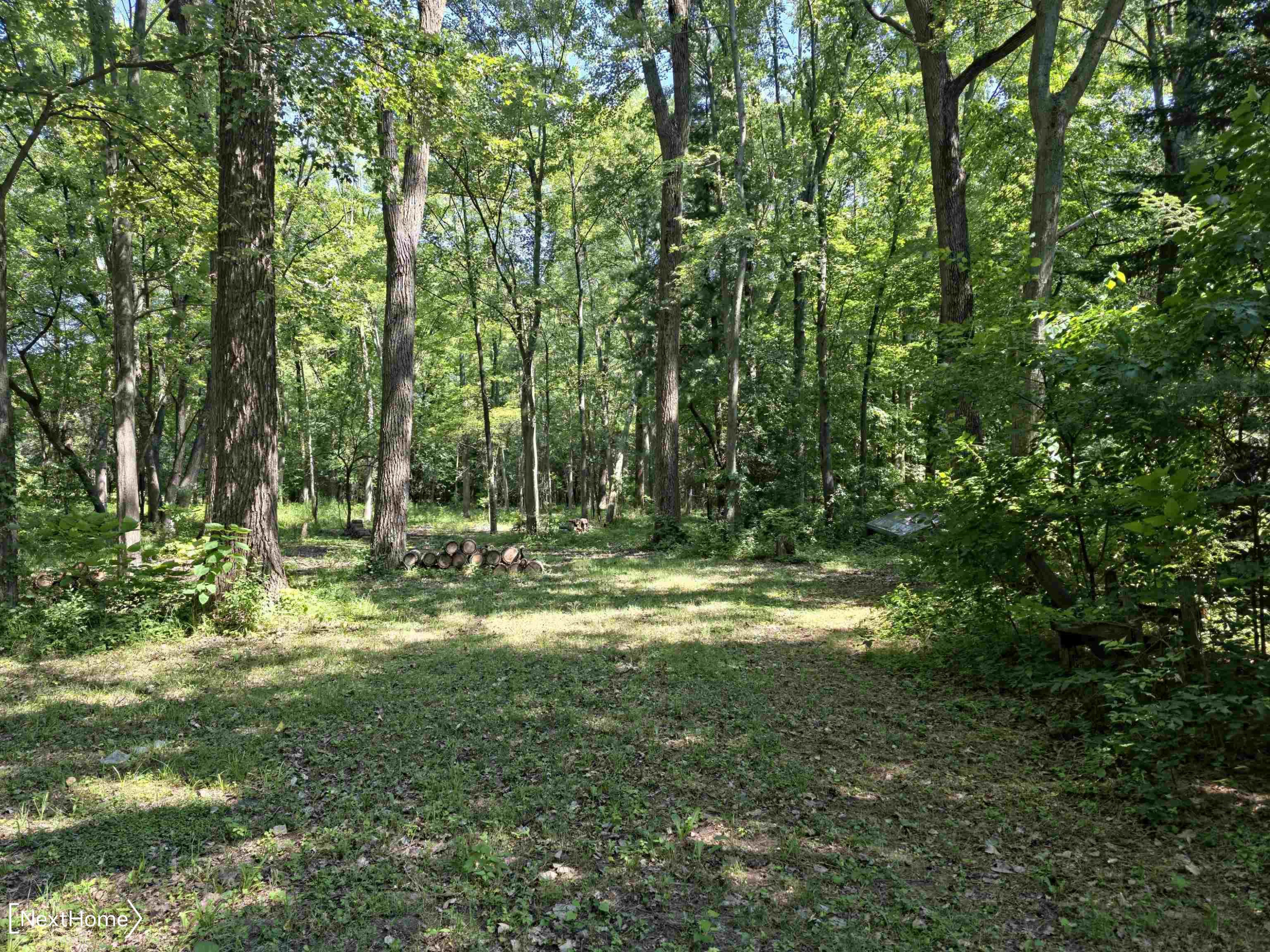 8199 Bray Road, Vassar, MI 48768 — Photo 21