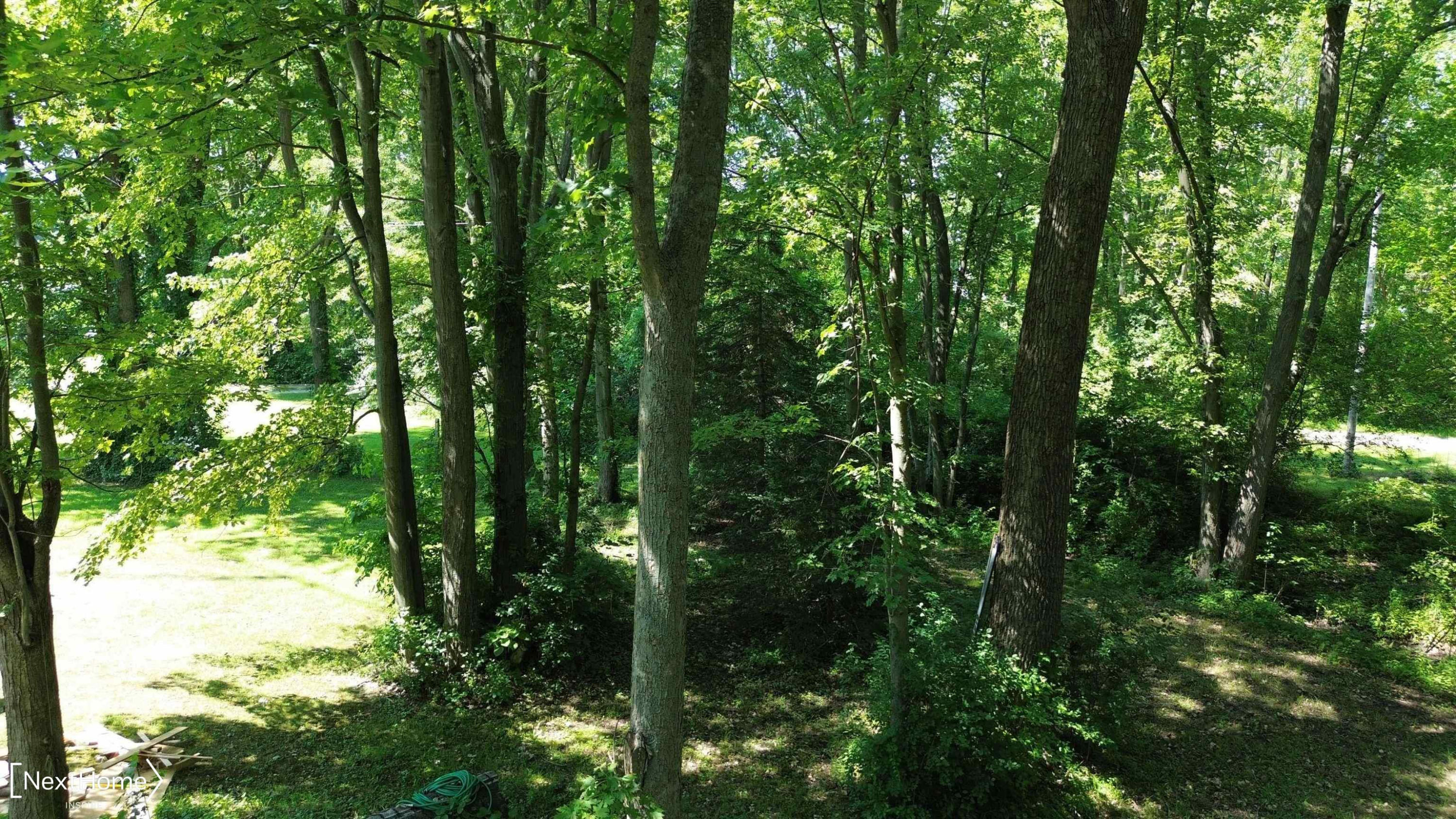 8199 Bray Road, Vassar, MI 48768 — Photo 34