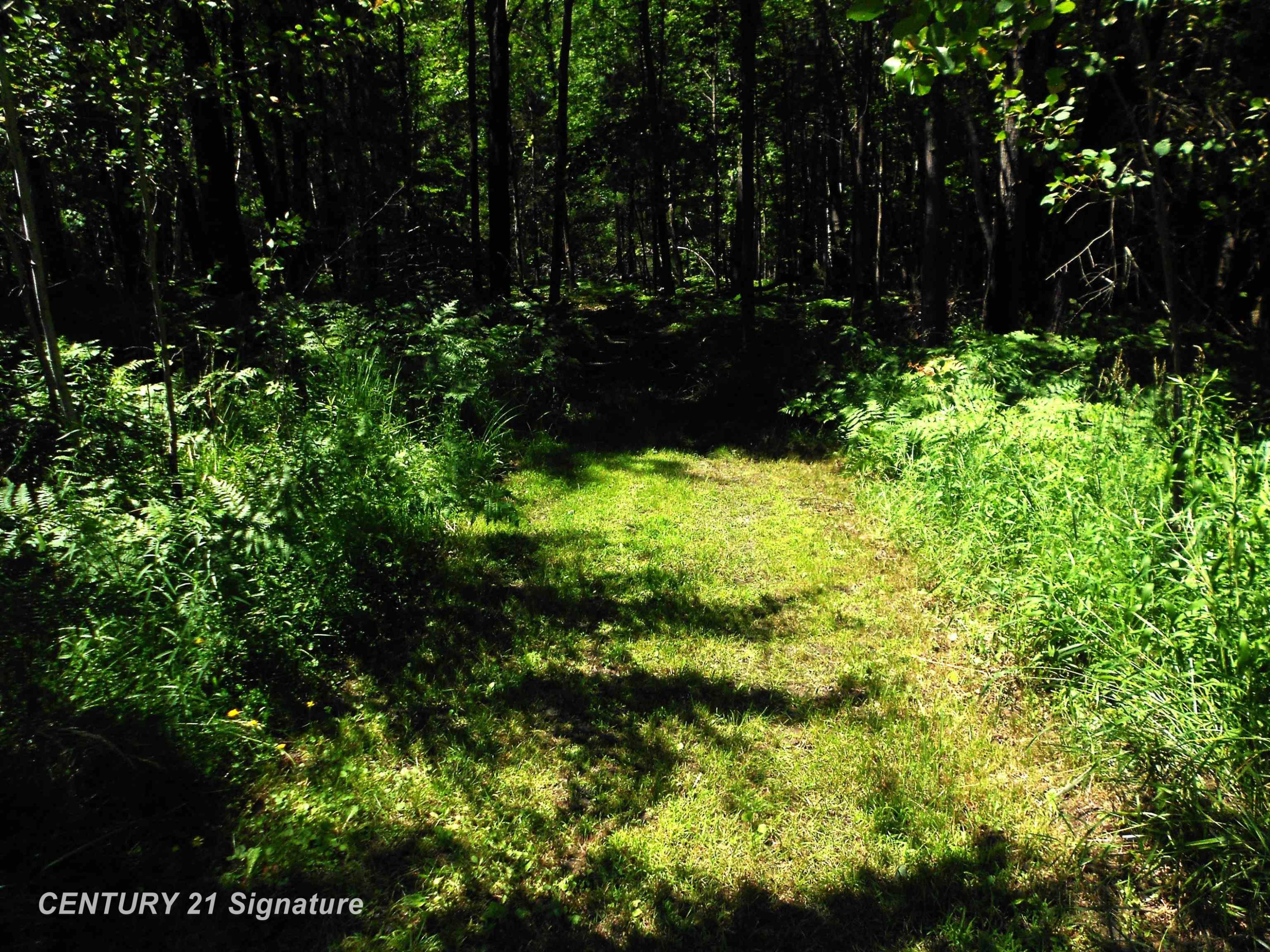 4712 Berry Road, Sterling, MI 48659 — Photo 10