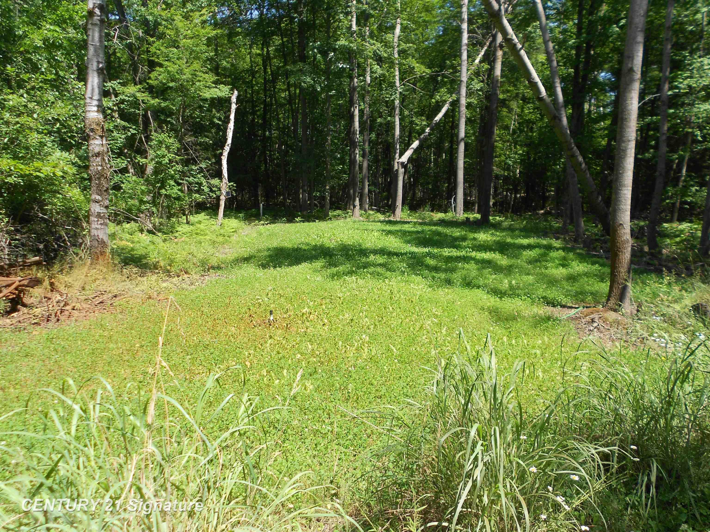 4712 Berry Road, Sterling, MI 48659 — Photo 13