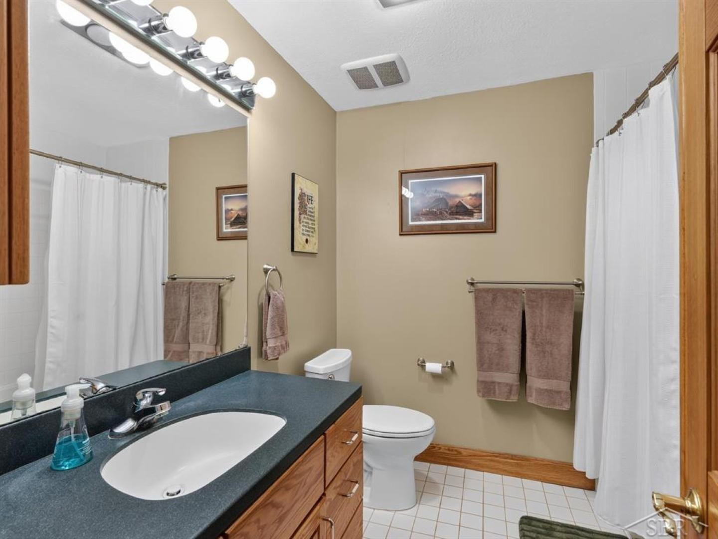 457 E Mier Road, Sanford, MI 48657 — Photo 27
