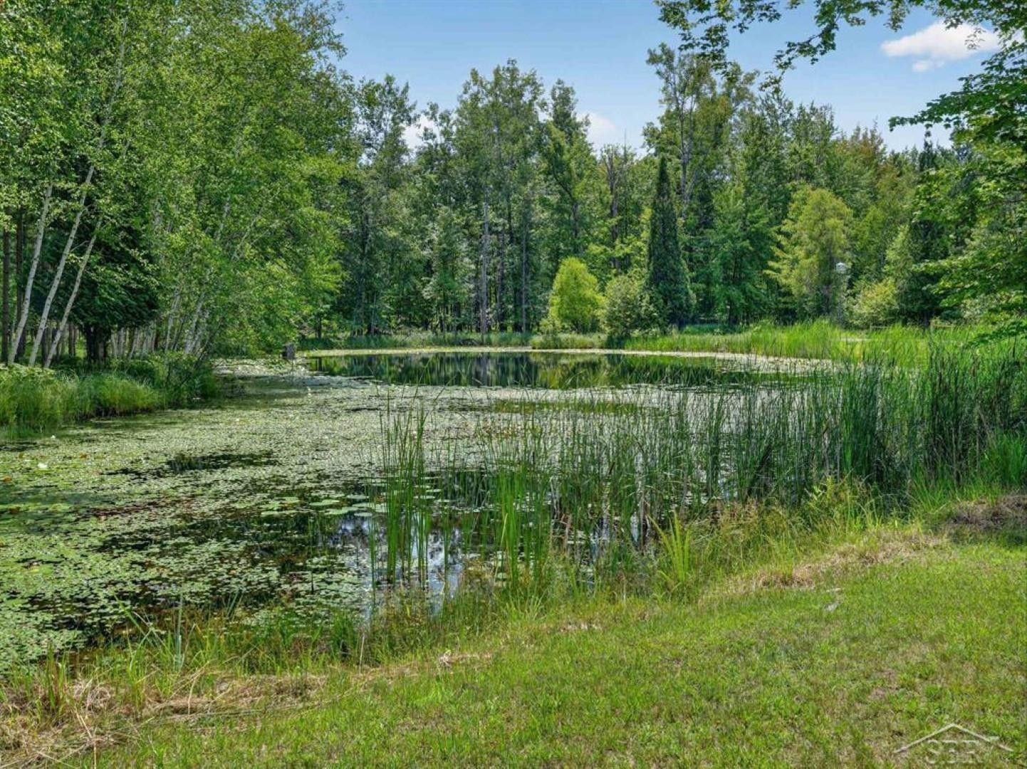 457 E Mier Road, Sanford, MI 48657 — Photo 32