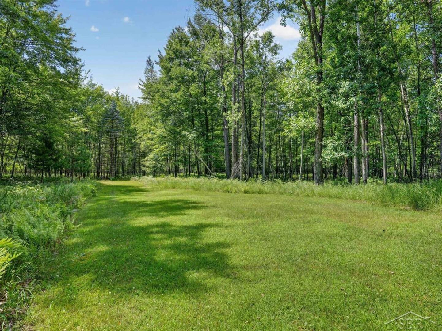 457 E Mier Road, Sanford, MI 48657 — Photo 41