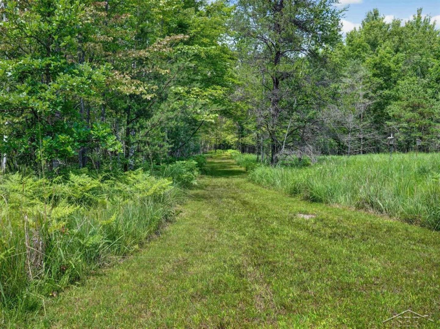457 E Mier Road, Sanford, MI 48657 — Photo 42
