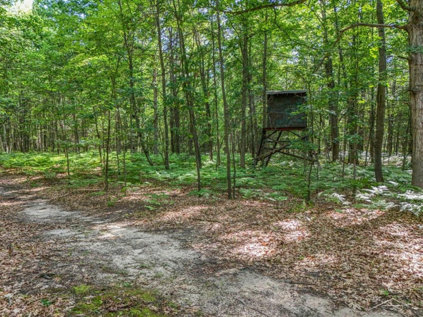 457 E Mier Road, Sanford, MI 48657 — Photo 43
