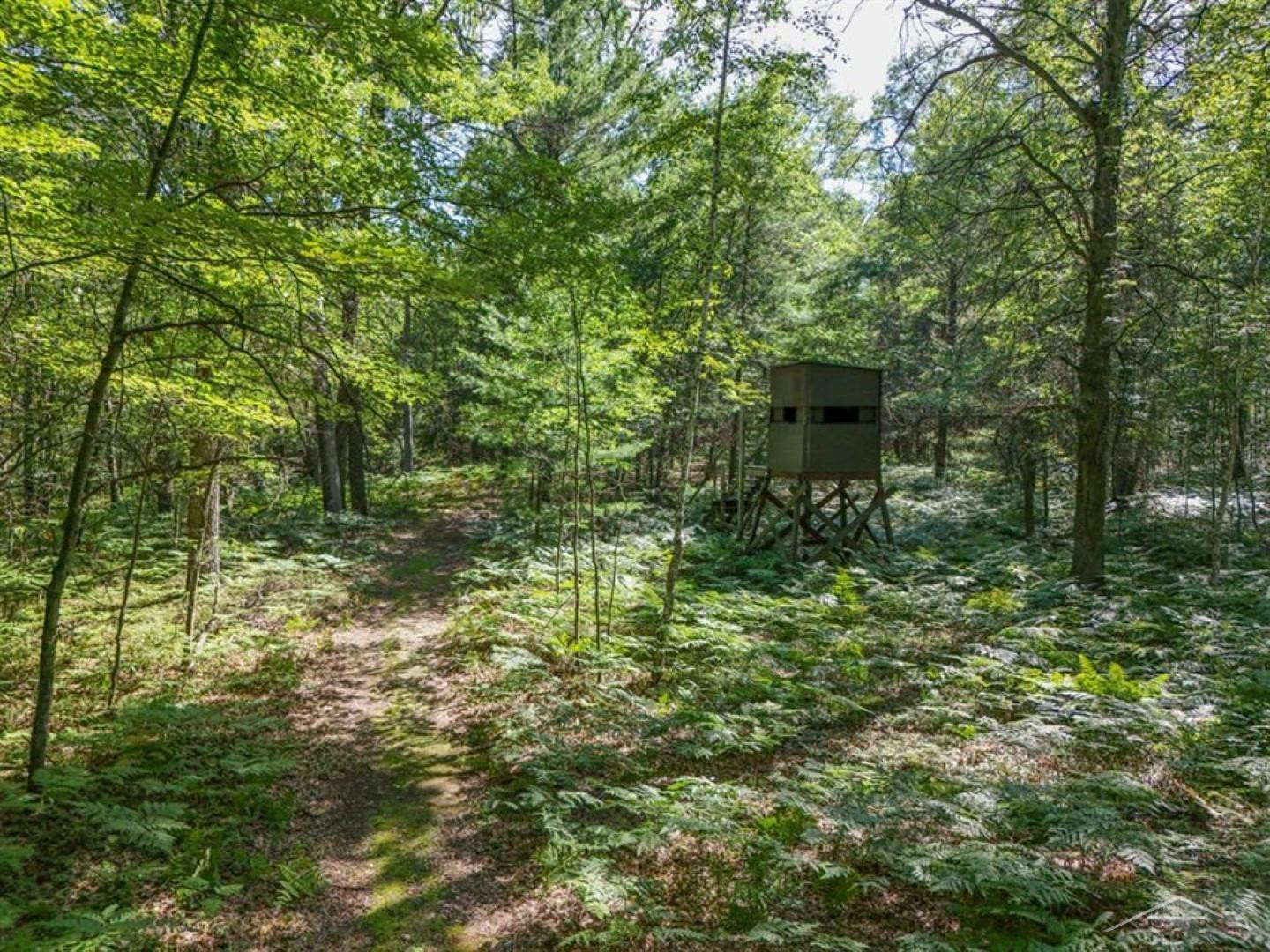 457 E Mier Road, Sanford, MI 48657 — Photo 46