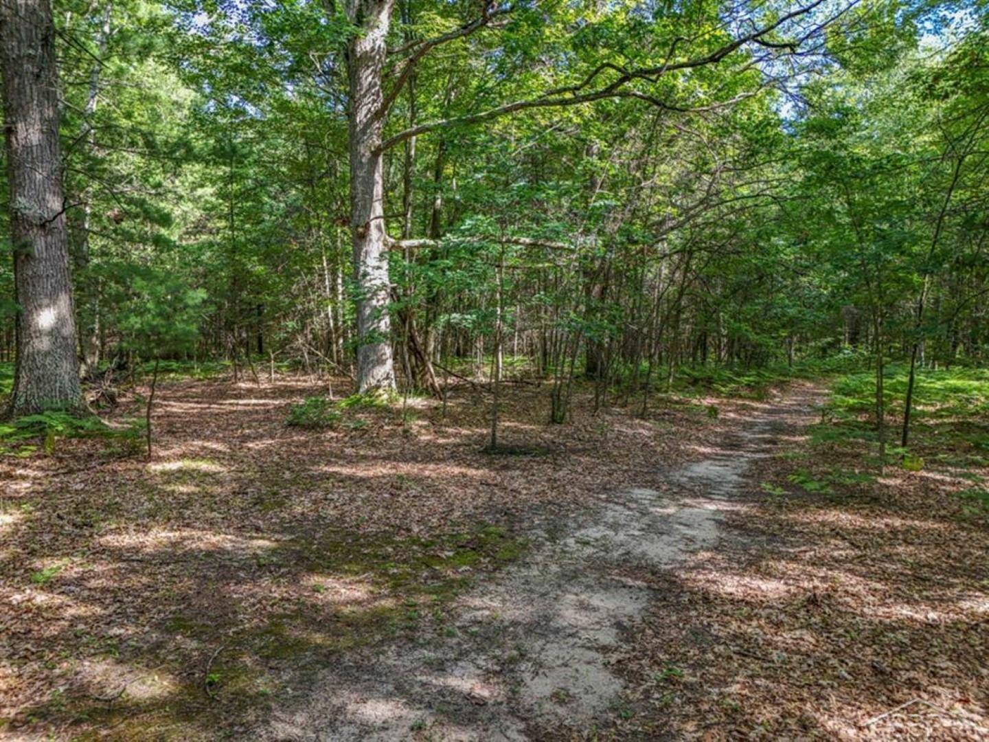 457 E Mier Road, Sanford, MI 48657 — Photo 48