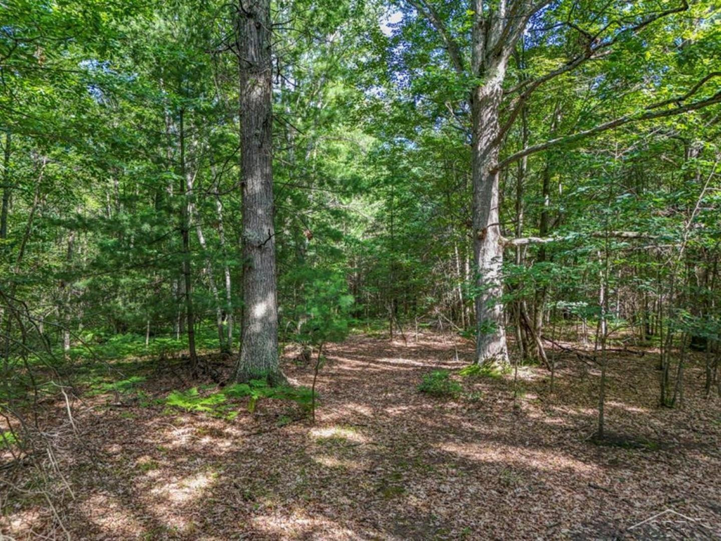457 E Mier Road, Sanford, MI 48657 — Photo 49