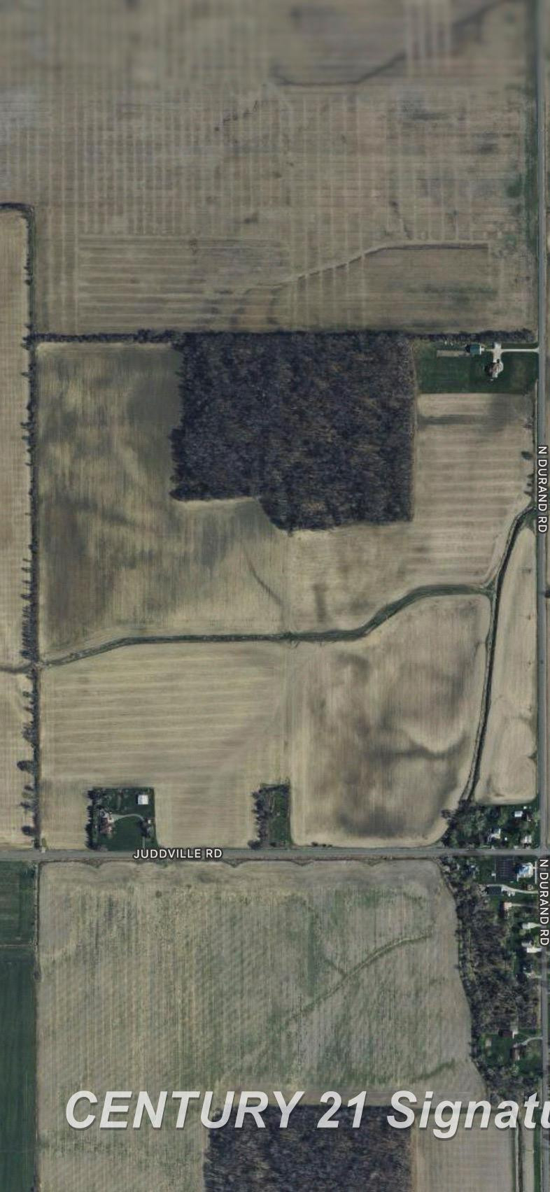 N Juddville Road, New Lothrop, MI 48460 — Photo 4