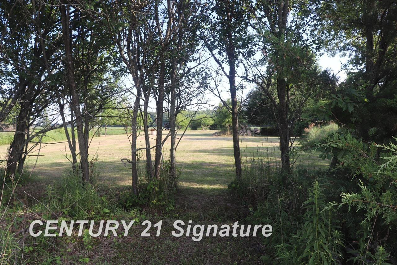 N Juddville Road, New Lothrop, MI 48460 — Photo 17