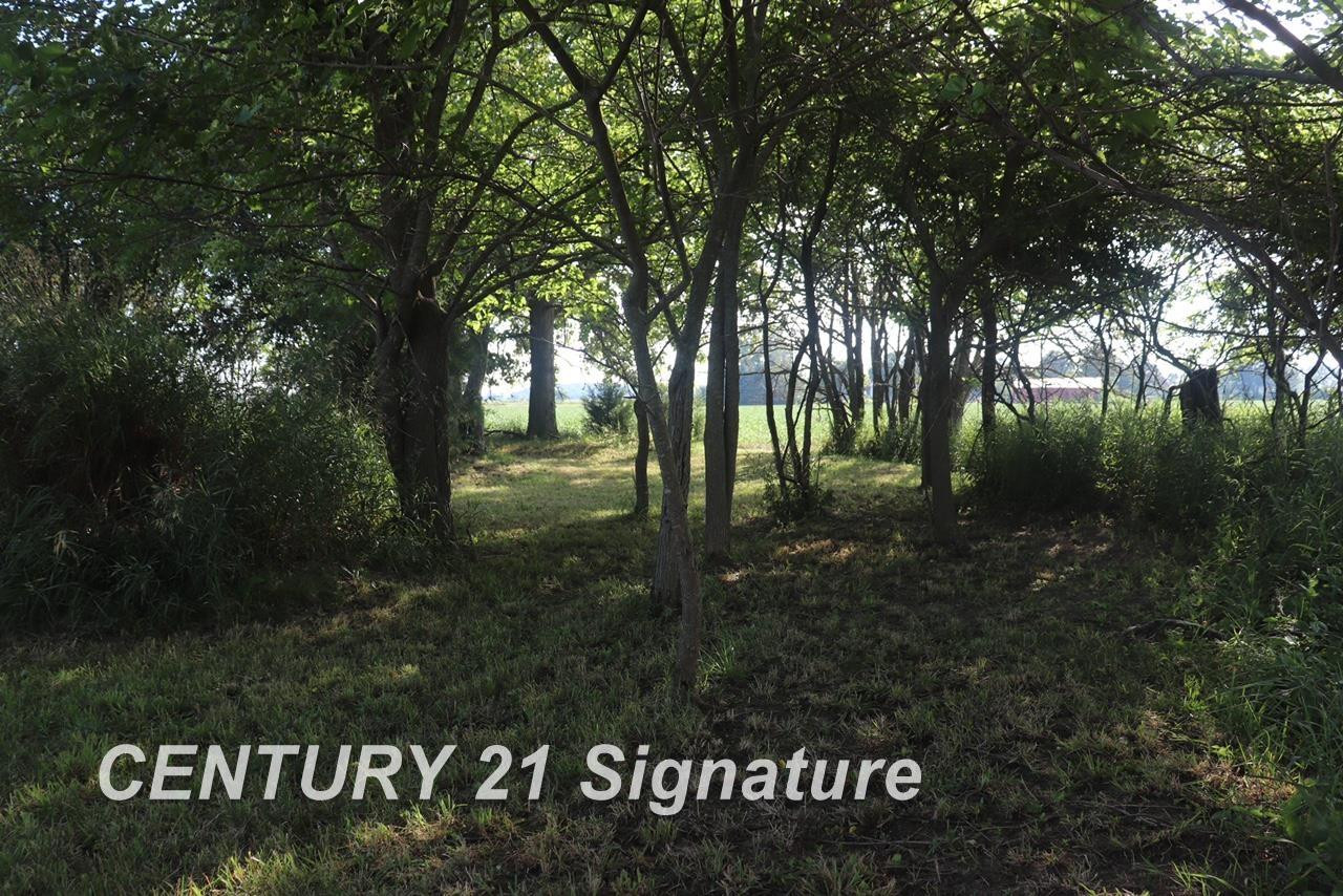 N Juddville Road, New Lothrop, MI 48460 — Photo 18