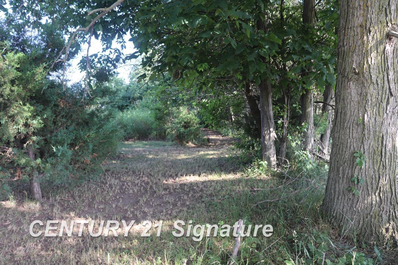 N Juddville Road, New Lothrop, MI 48460 — Photo 20
