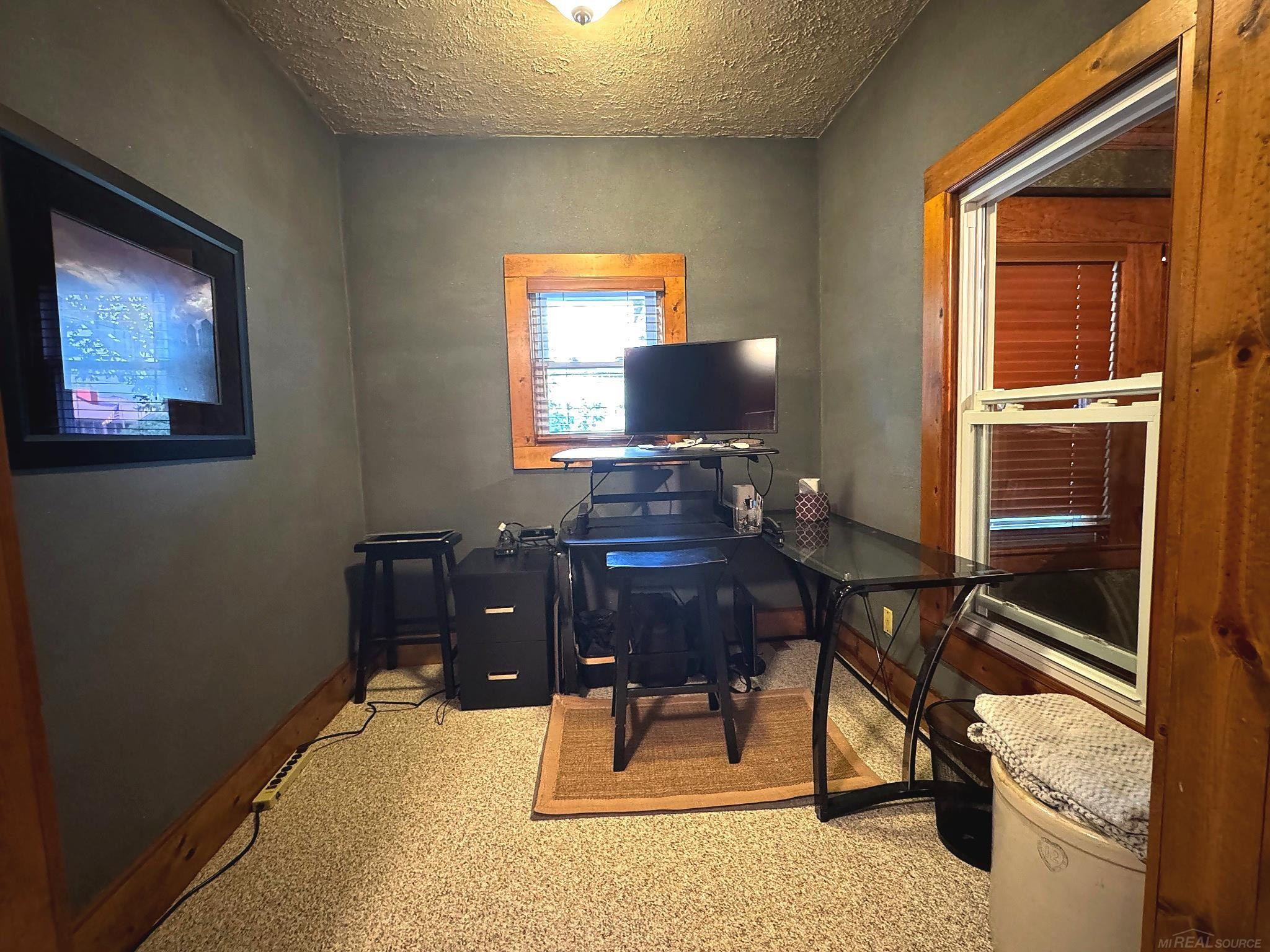 8357 Van Aiken Street, Ida, MI 48140 — Photo 7