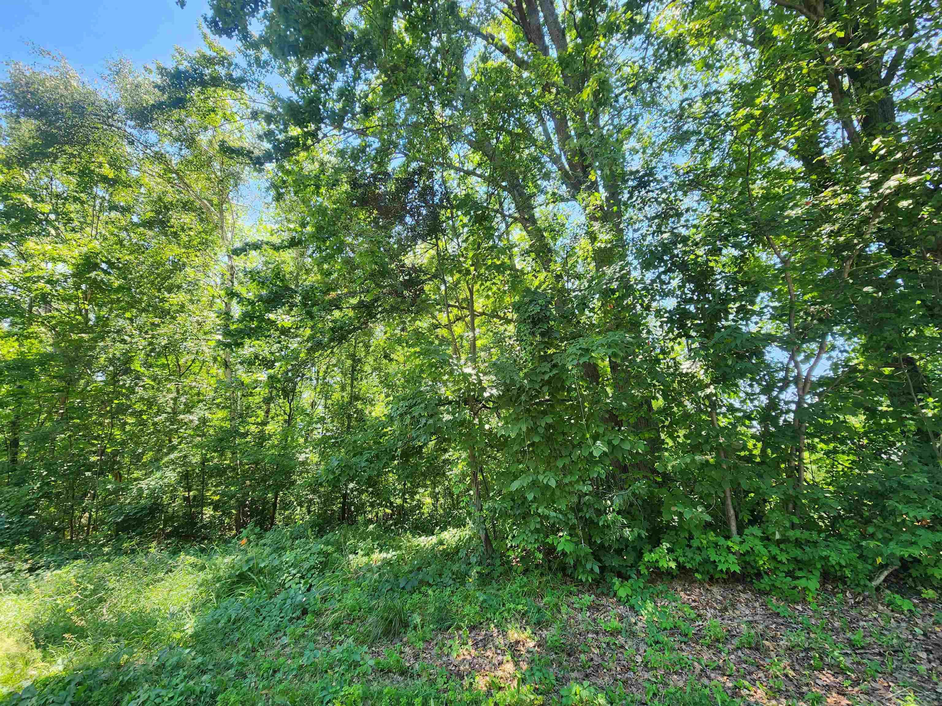 7947 Manitonka Lane, Lake, MI 48632 — Photo 3