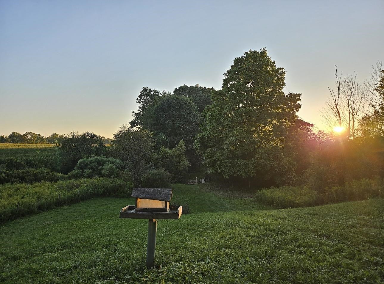 1187 Parks Road, Wales, MI