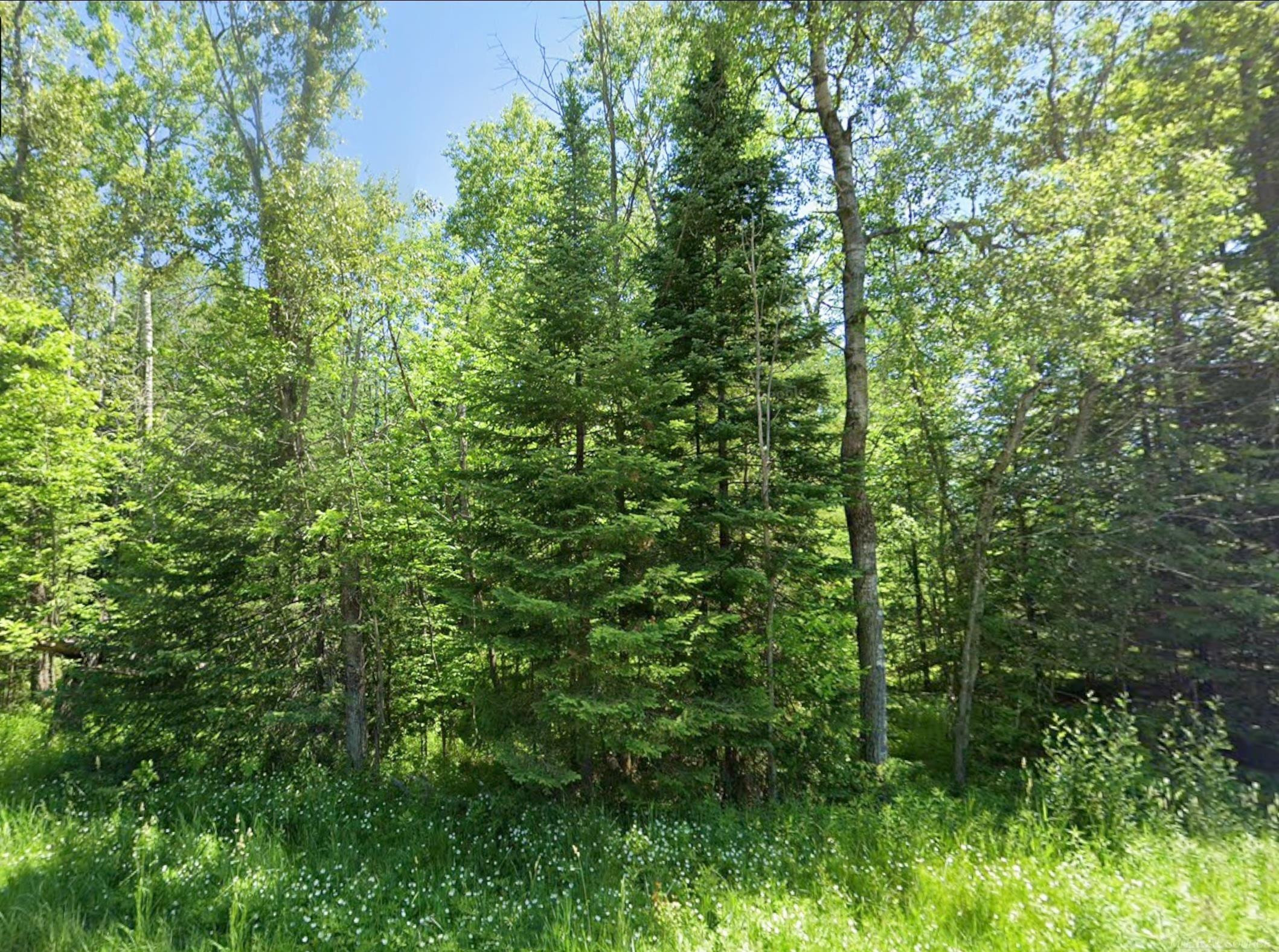 0 Sawyer Lane, Rose City, MI 48654