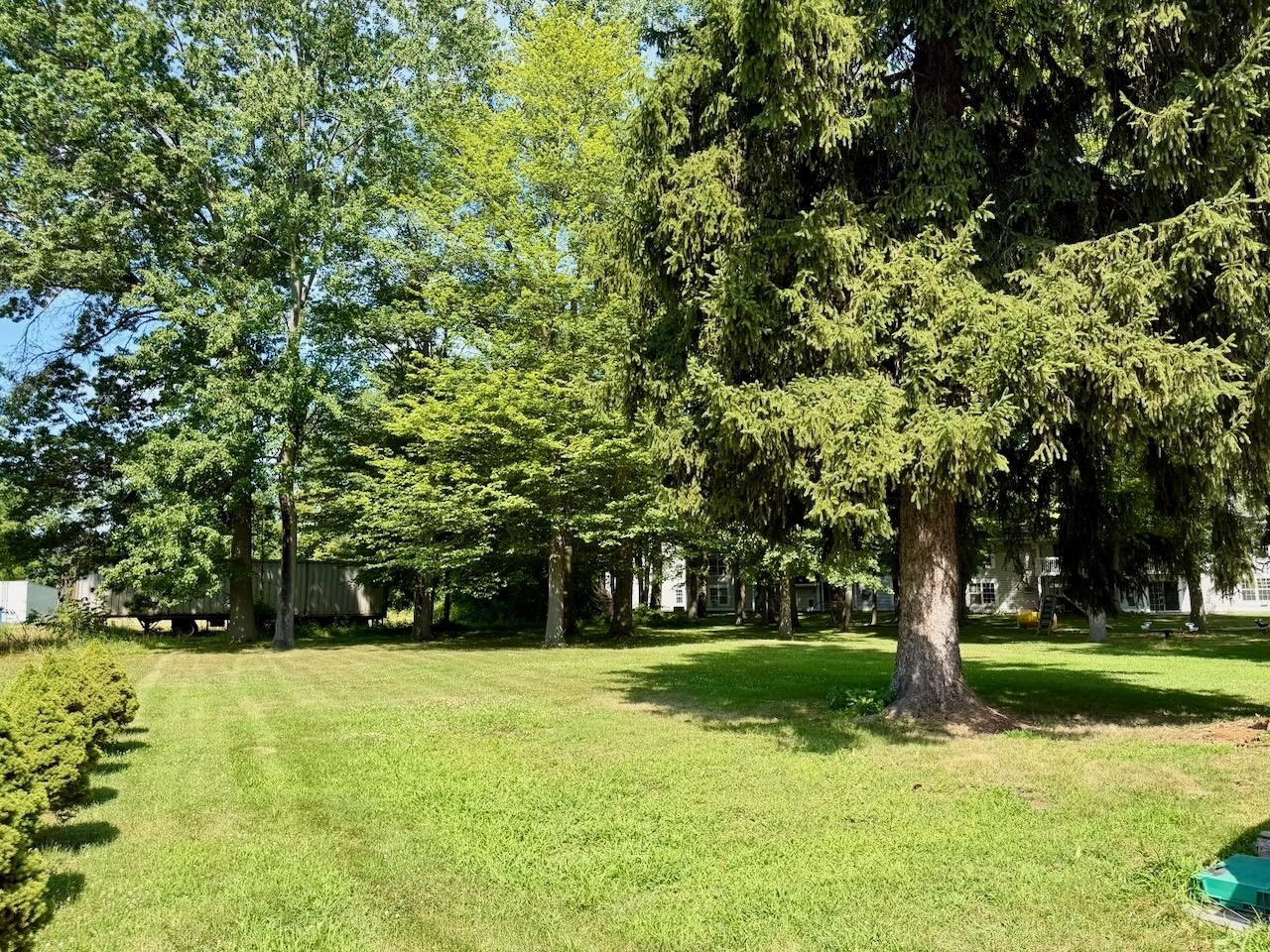 623 N Line Street, Chesaning, MI 48616 — Photo 7