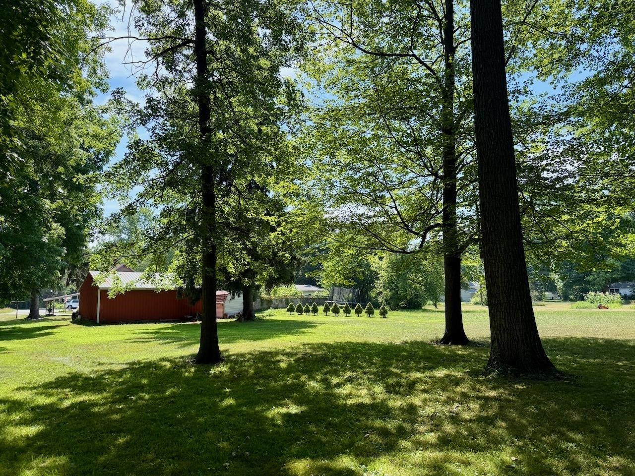 623 N Line Street, Chesaning, MI 48616 — Photo 10