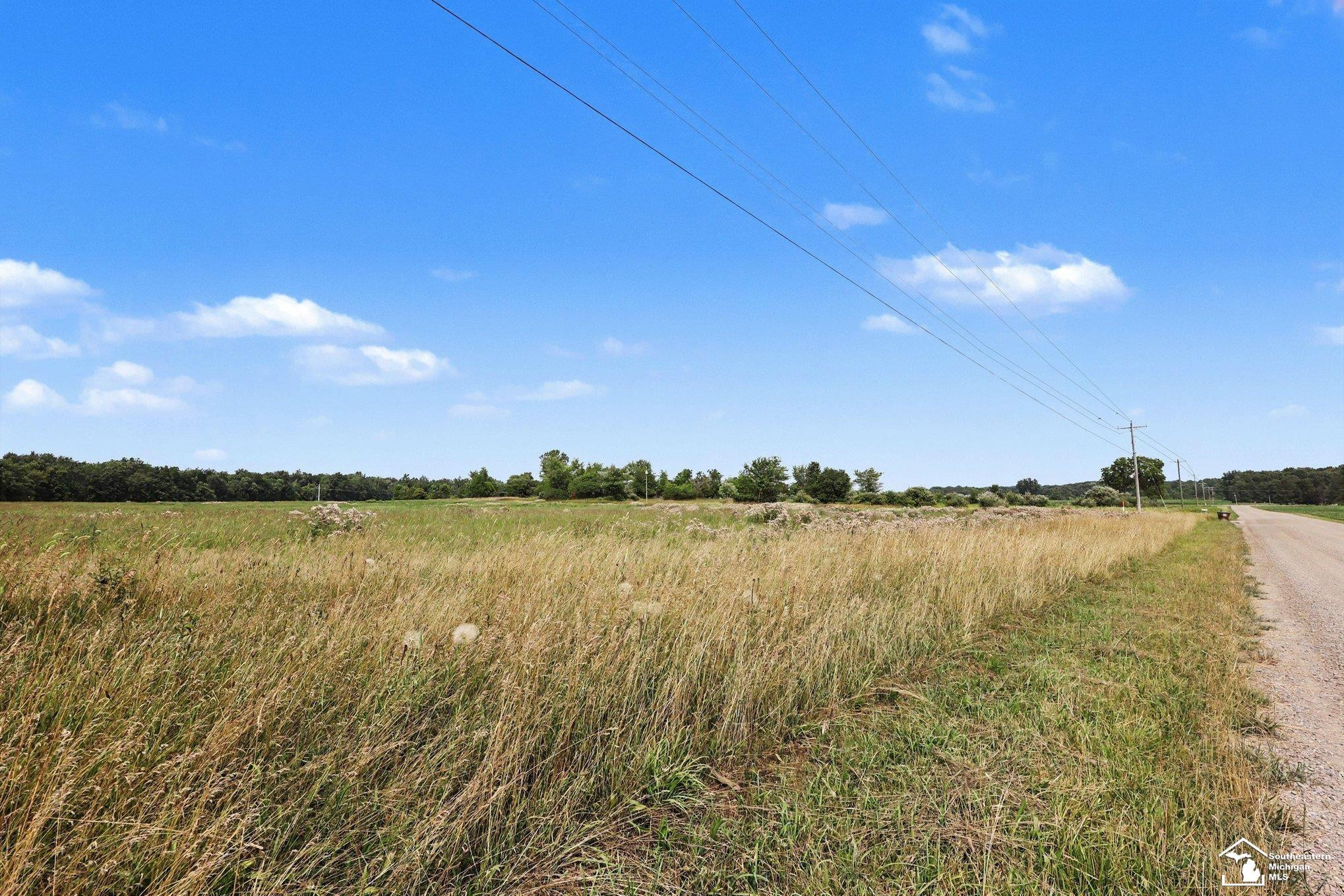 4000 Tomer Road, Adrian, MI 49221 — Photo 13