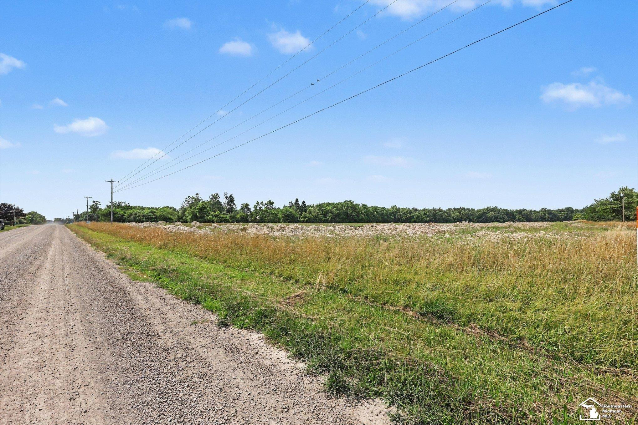 4000 Tomer Road, Adrian, MI 49221 — Photo 14