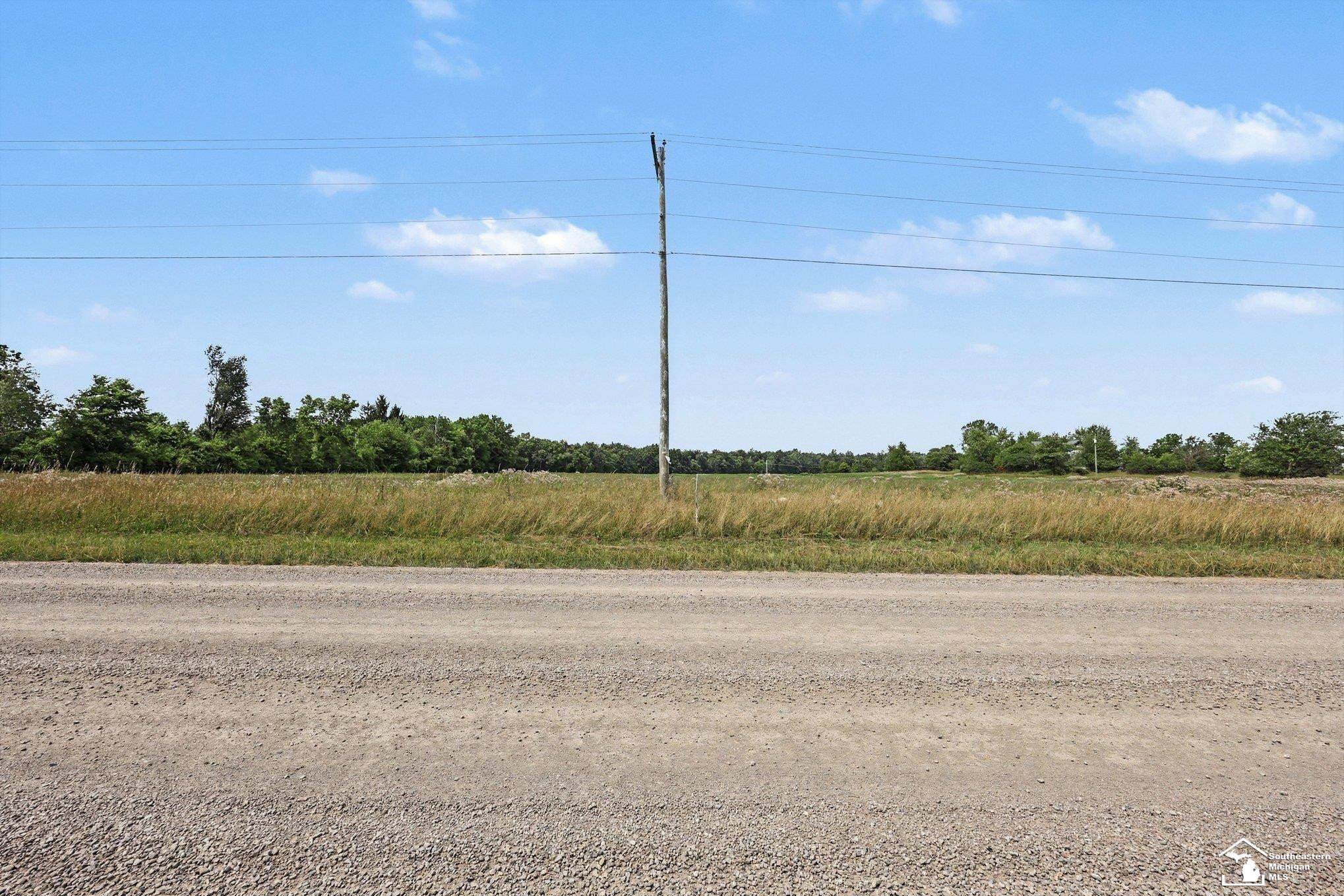 4000 Tomer Road, Adrian, MI 49221 — Photo 15