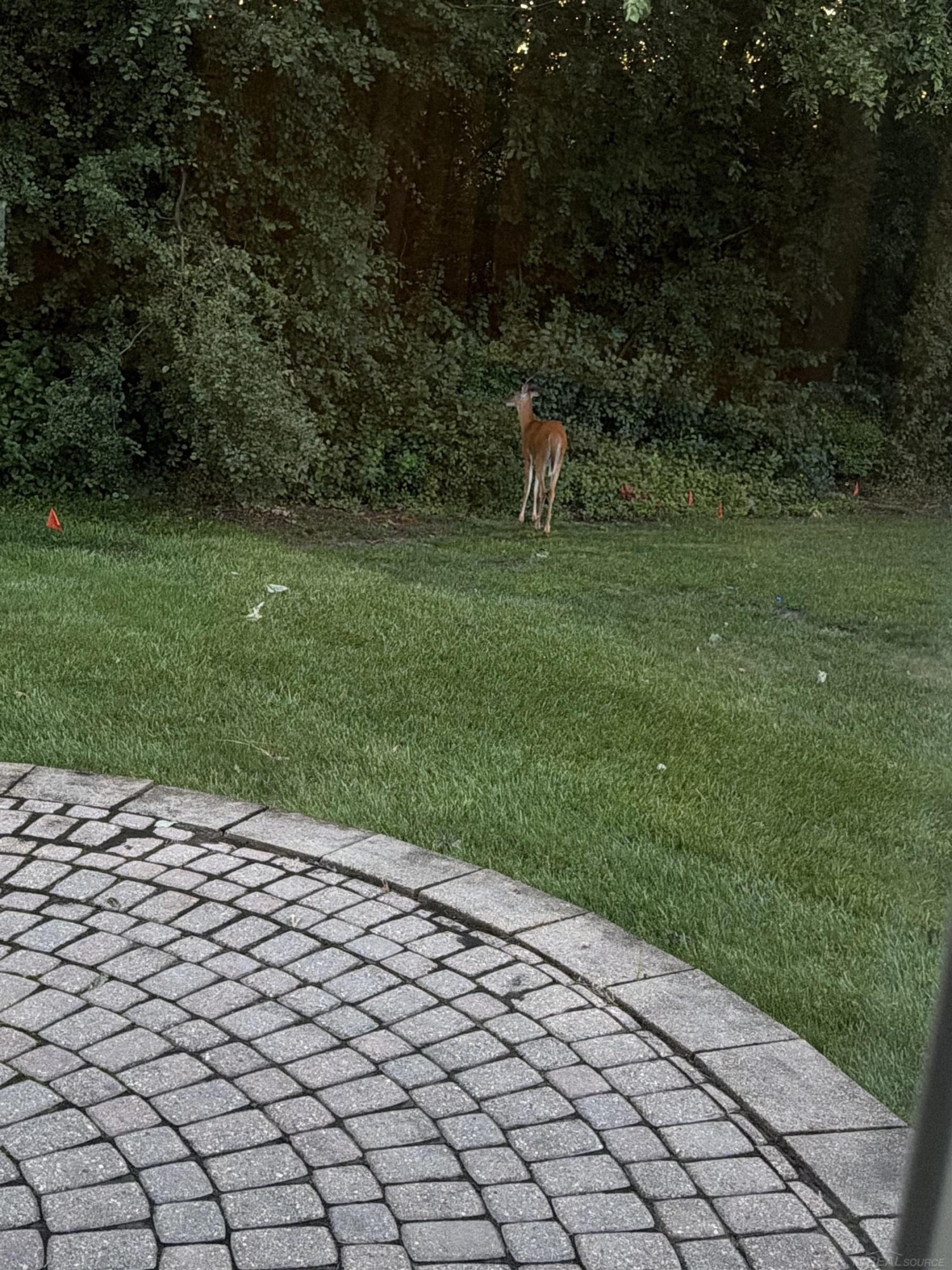 40219 Denbigh Drive, Sterling Heights, MI 48310 — Photo 36