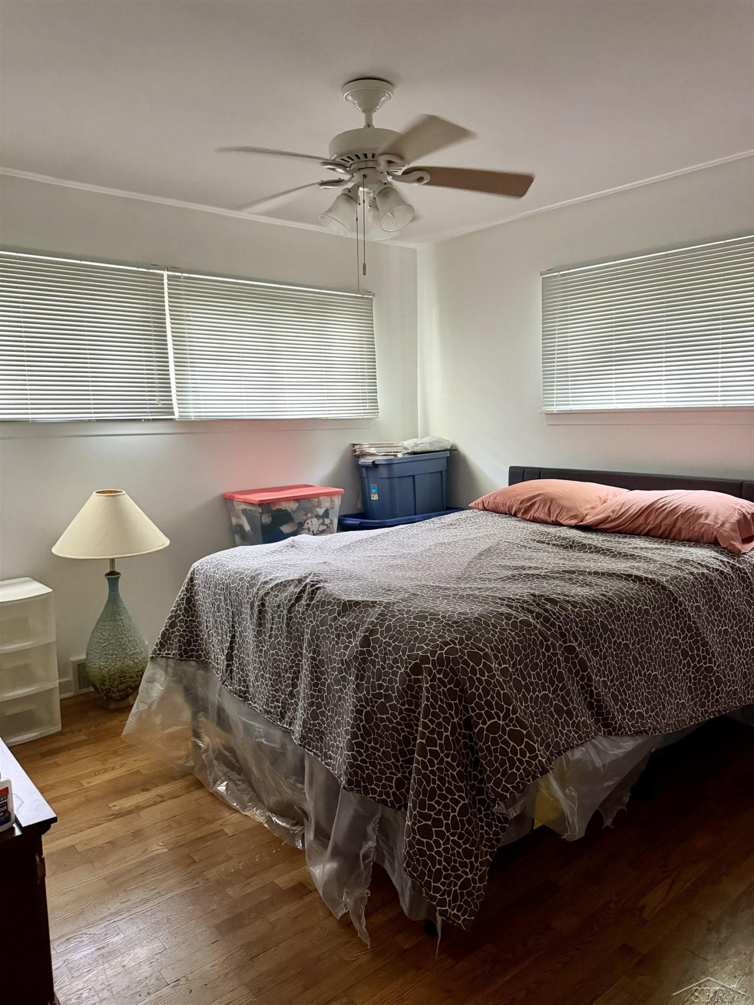 815 Reed Street, Saginaw, MI 48602 — Photo 7