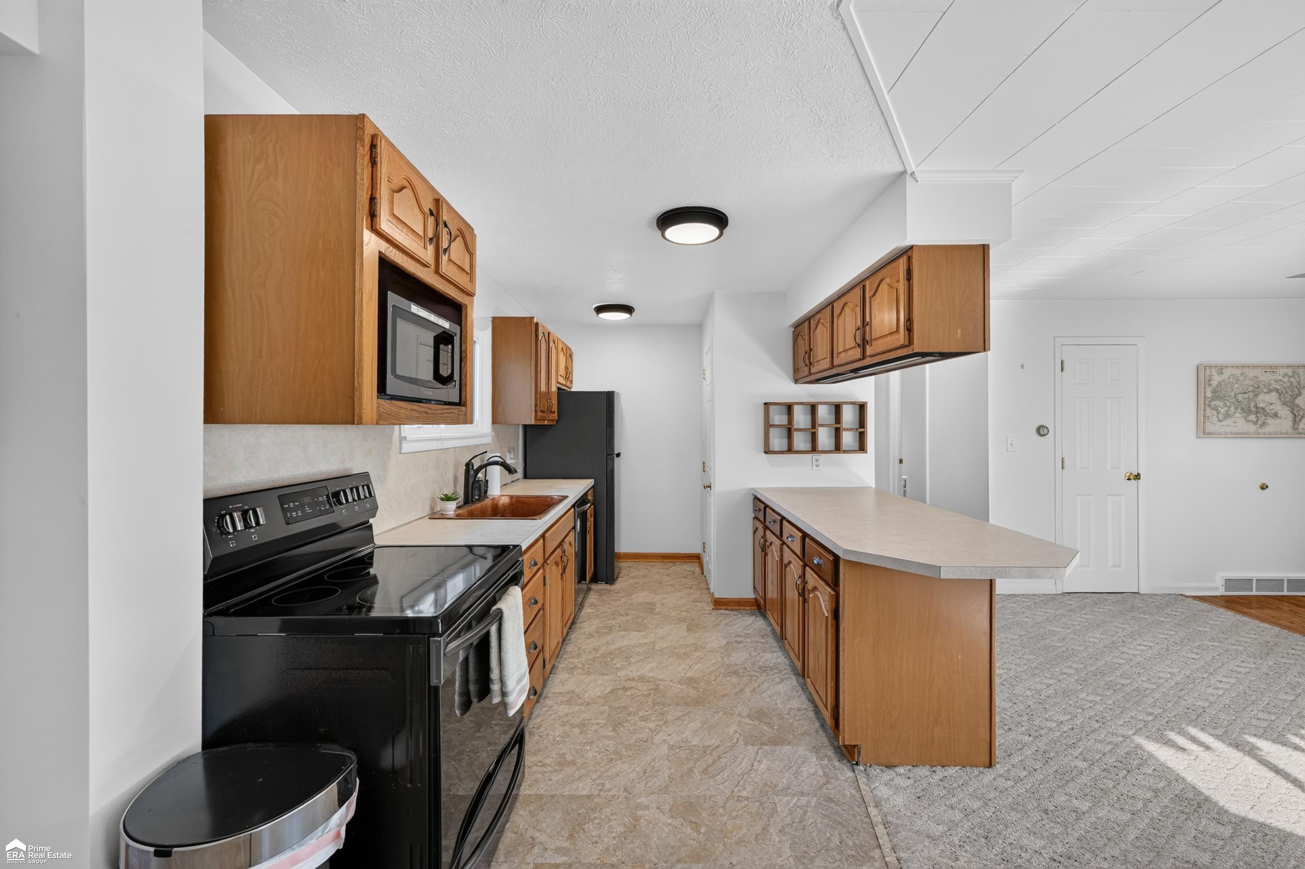 5293 E Cole Road, Bancroft, MI 48414 — Photo 11