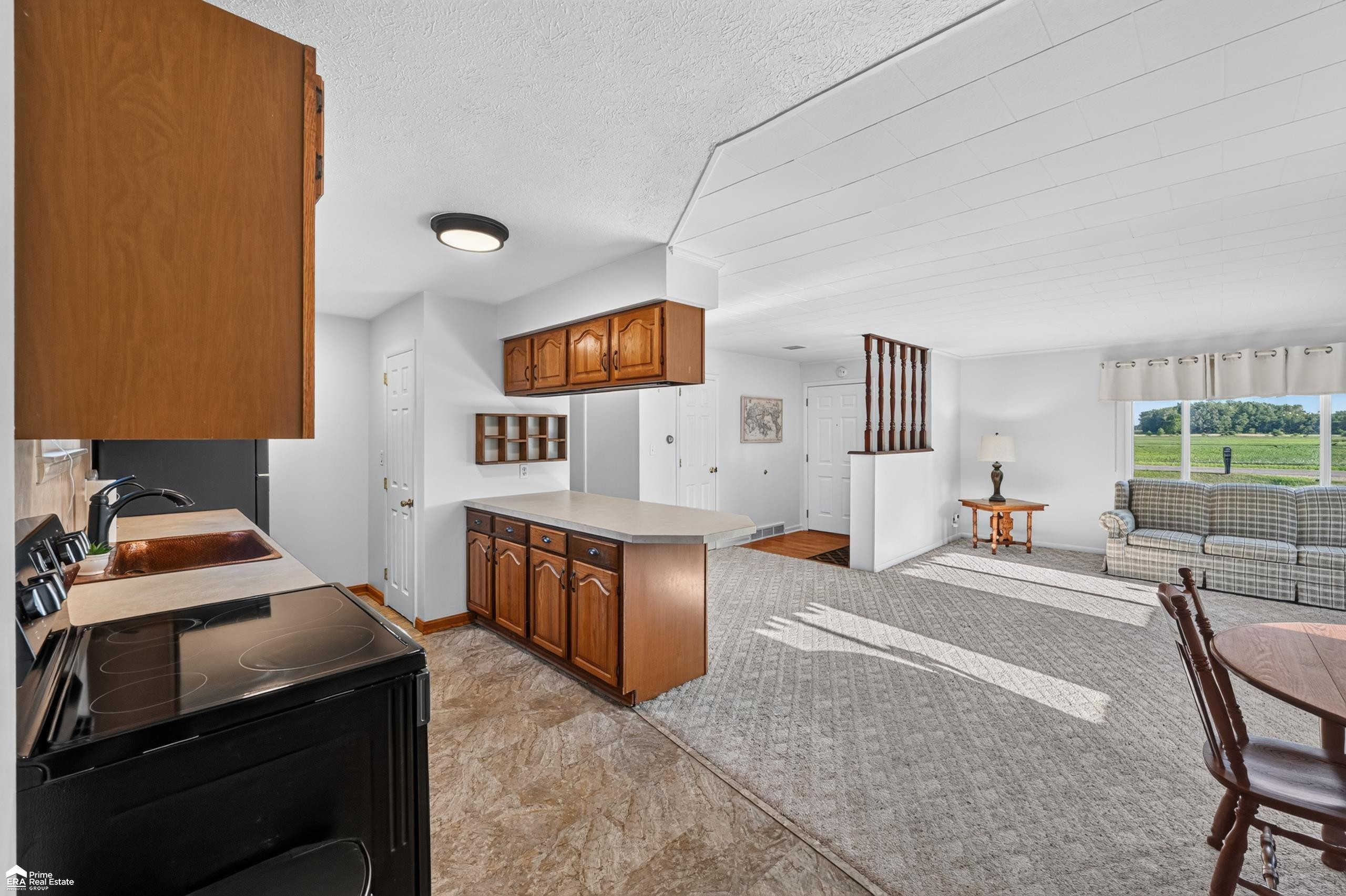 5293 E Cole Road, Bancroft, MI 48414 — Photo 12
