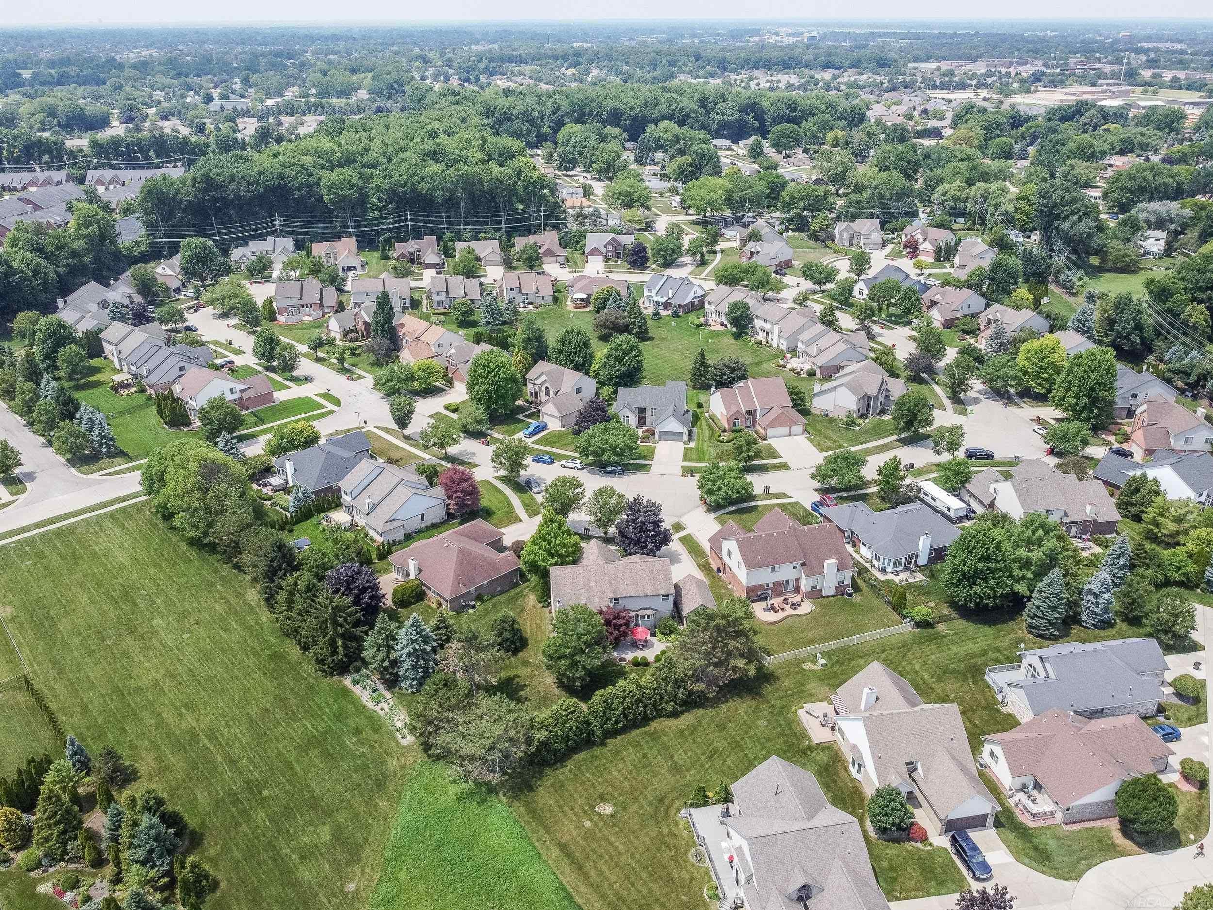 19573 Tanglewood Circle, Clinton Twp, MI 48038 — Photo 67