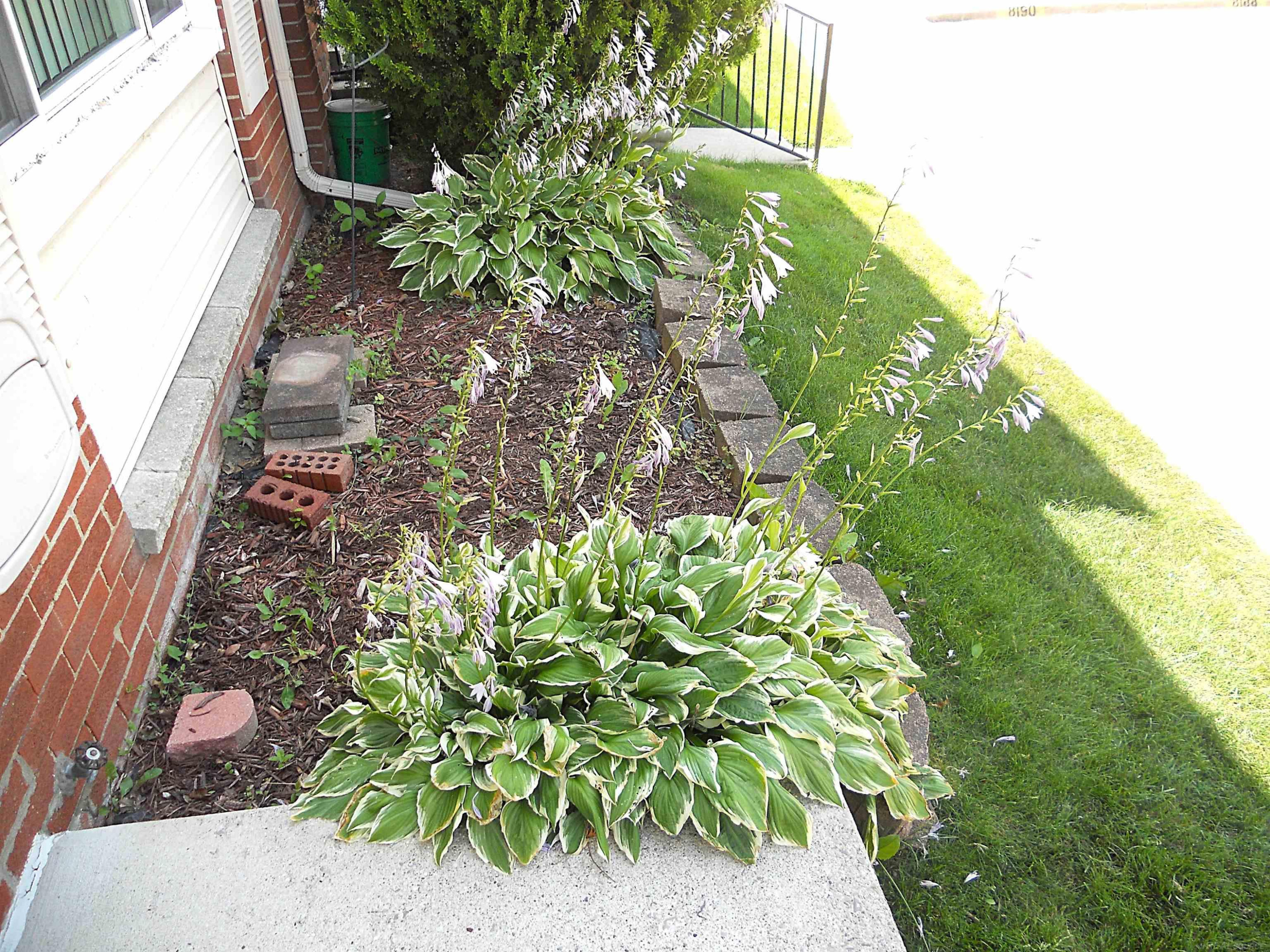 8192 Farnum Avenue, Warren, MI 48093 — Photo 39