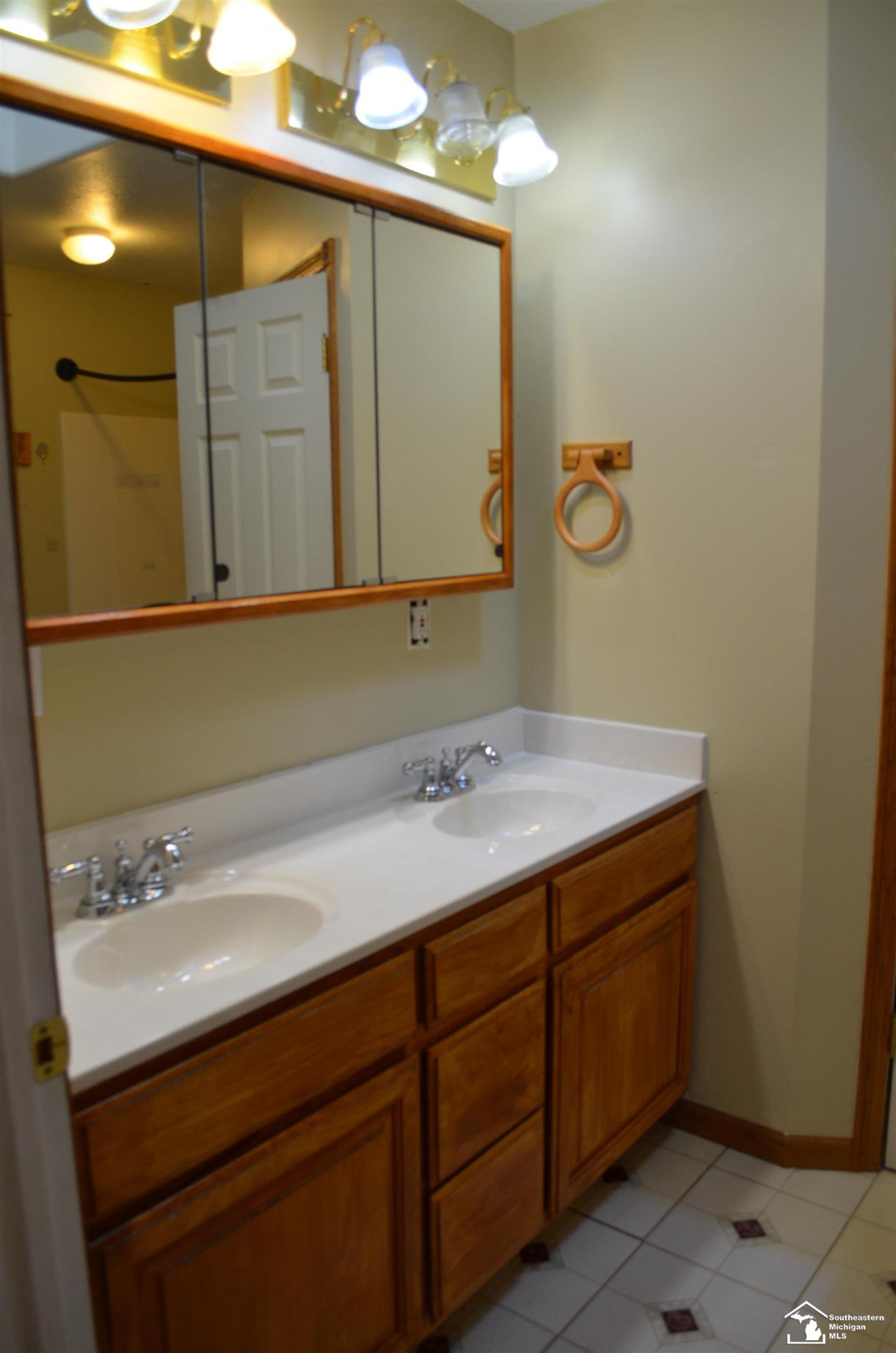 2977 Oakley Road, Stockbridge, MI 49285 — Photo 21