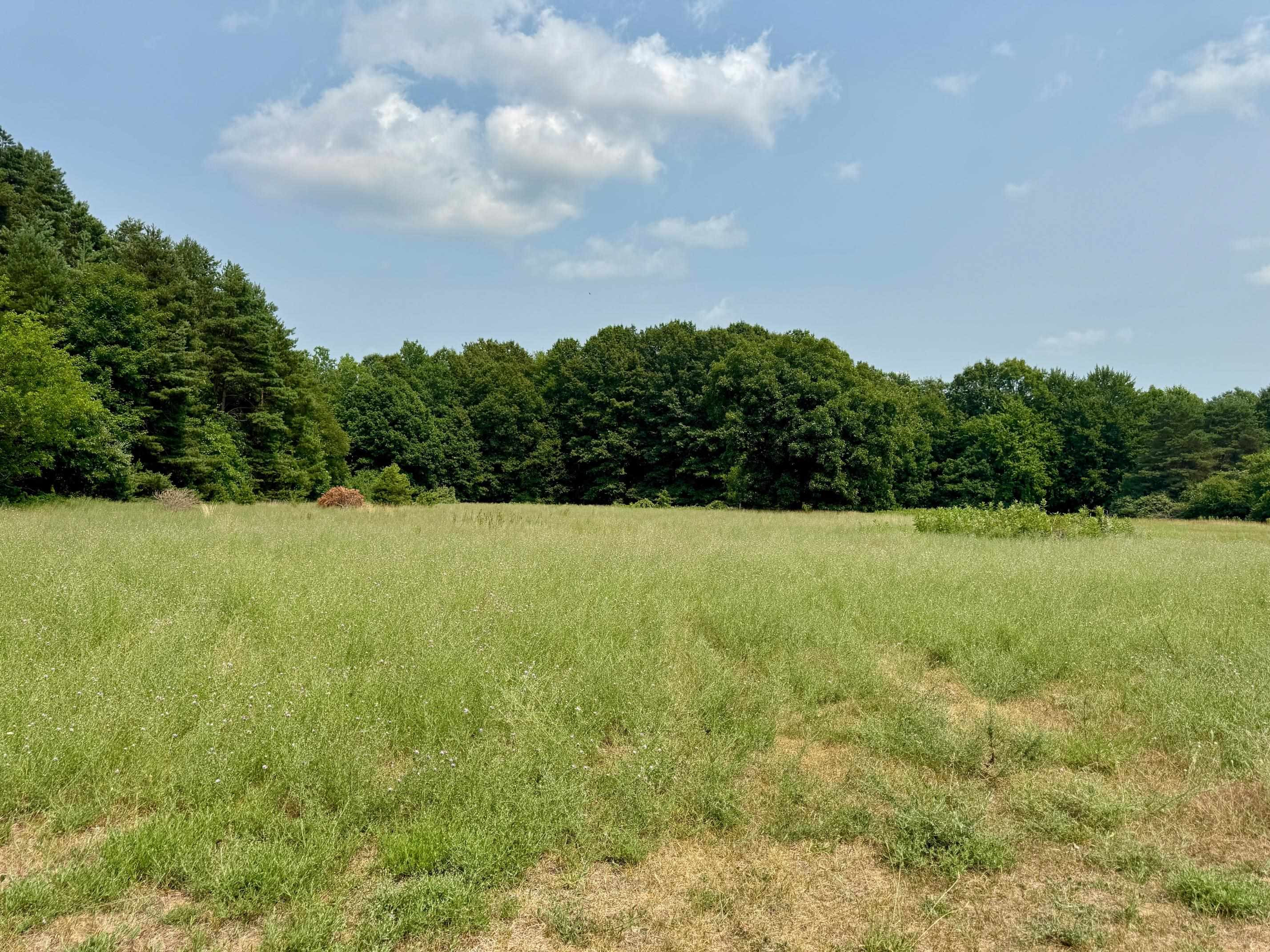 9260 N Elms Road, Clio, MI 48420 — Photo 19