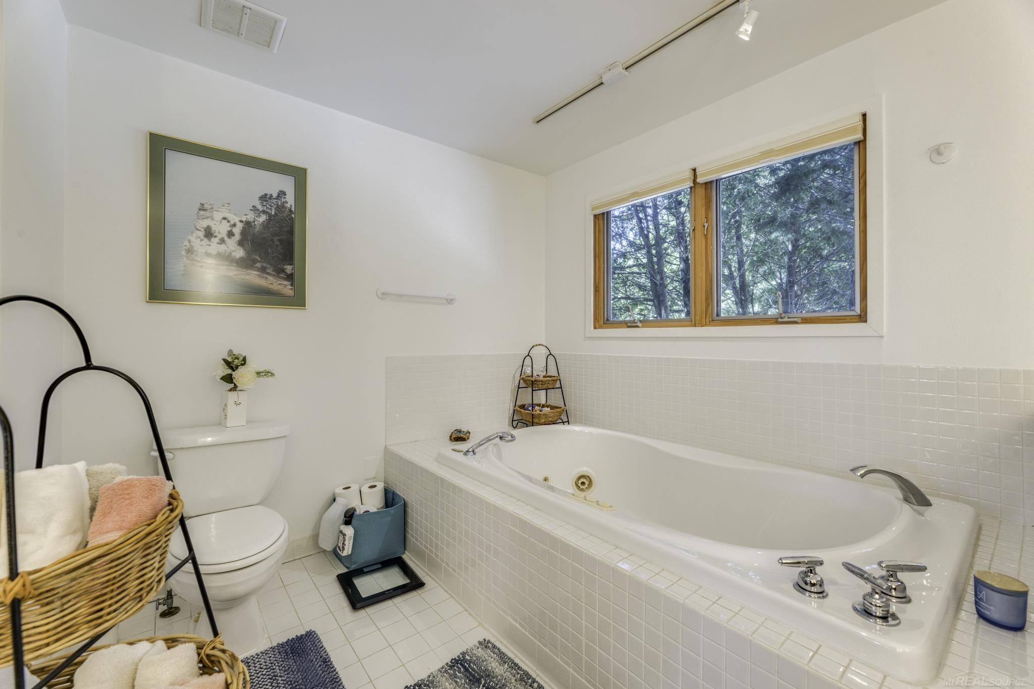 5397 Dallas Street, Lexington, MI 48450 — Photo 39