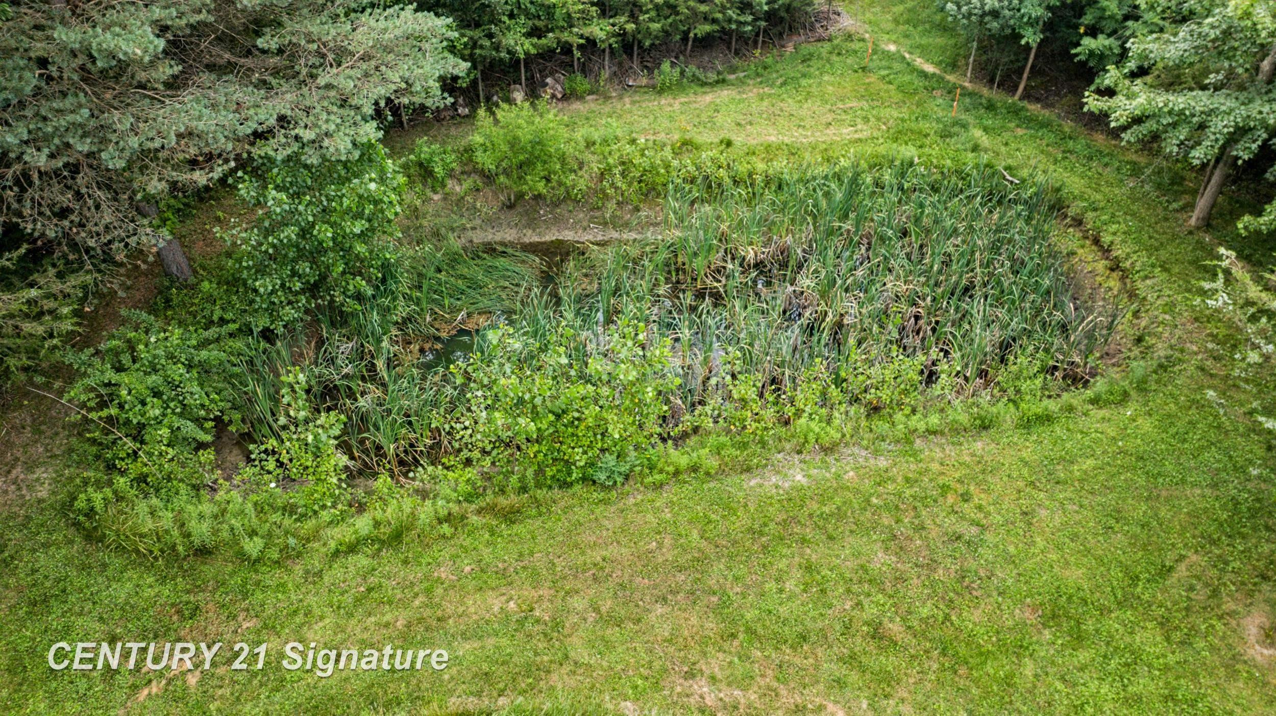 4386 N Elms Road, Flushing, MI 48433 — Photo 53