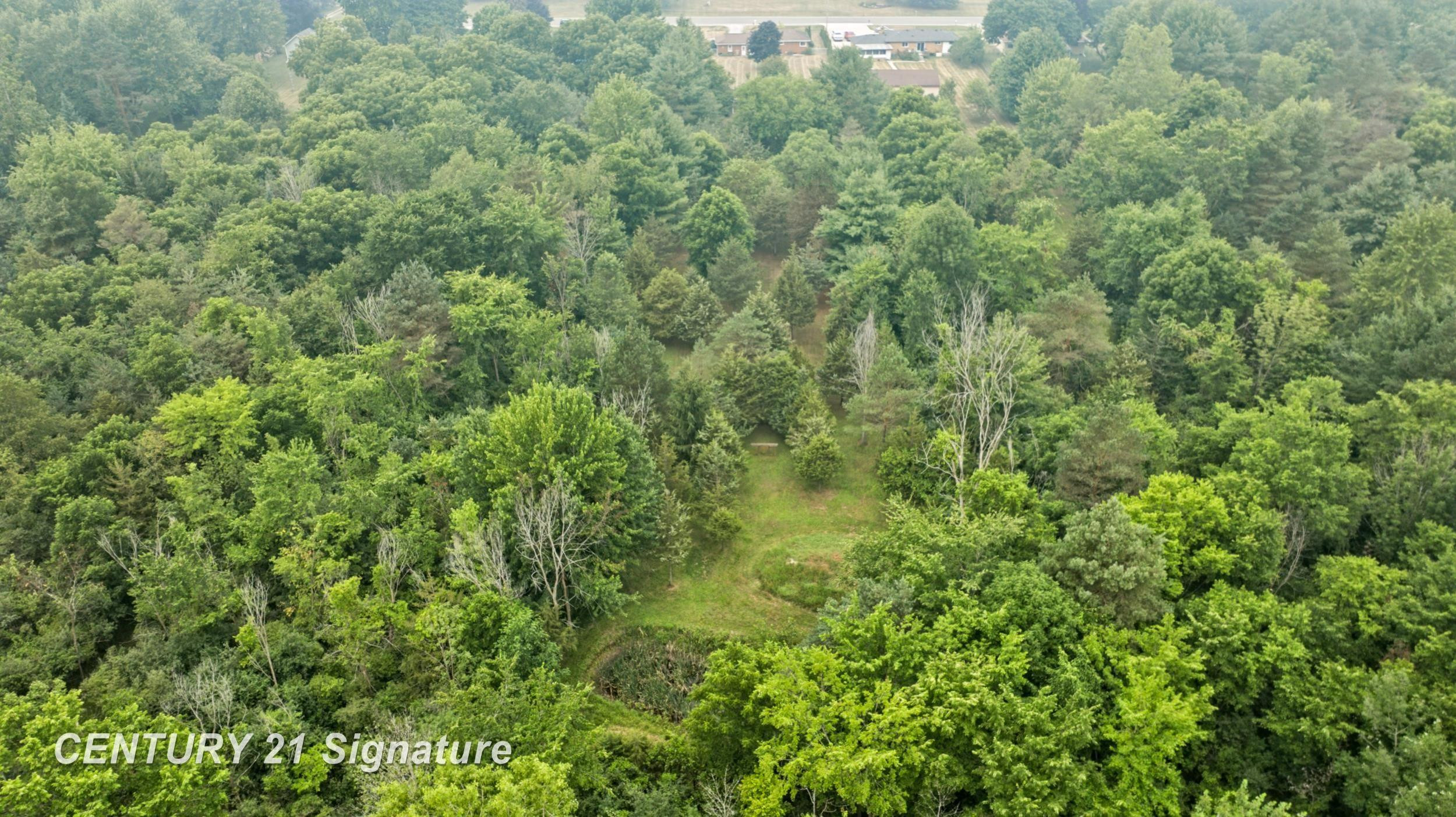 4386 N Elms Road, Flushing, MI 48433 — Photo 54