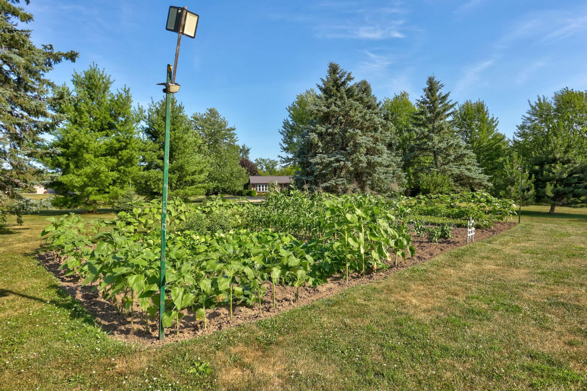 1090 N Block Road, Reese, MI 48757 — Photo 56