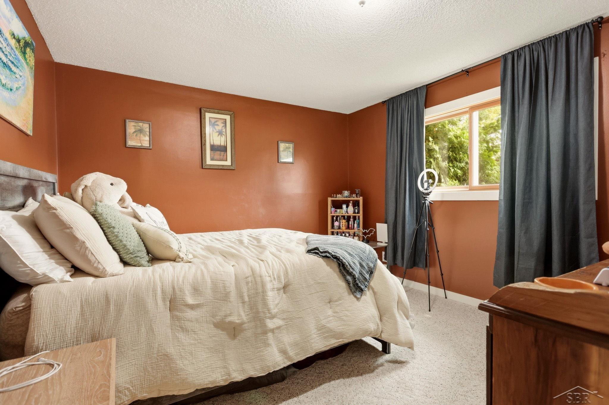 4060 Diceglie Court, MI 48604 — Photo 17
