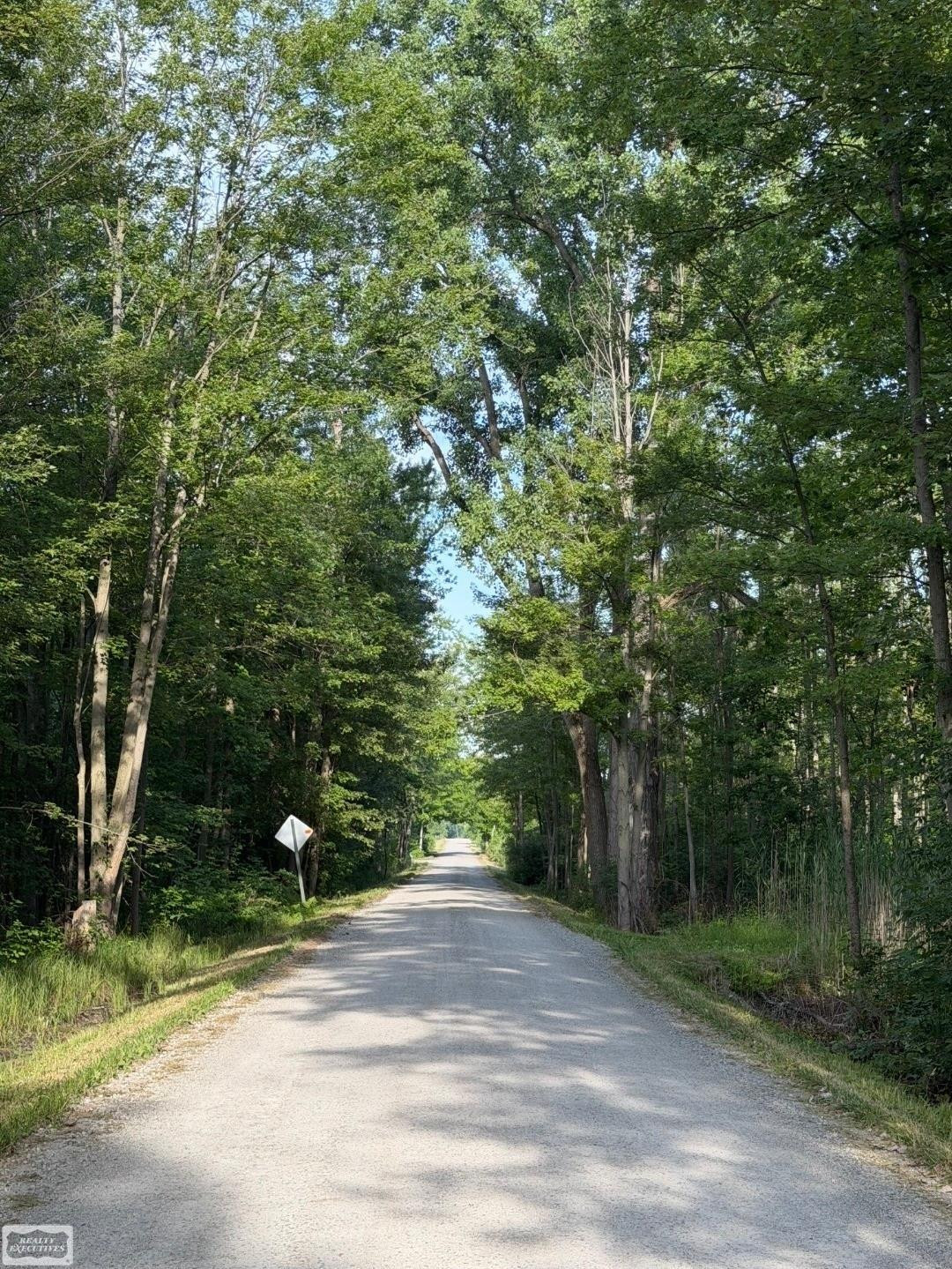 Sullivan Road, Emmett, MI 48022