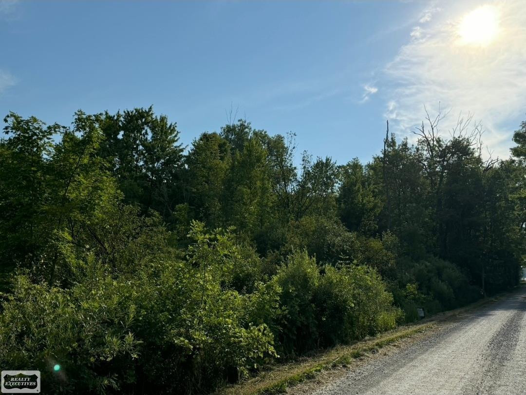 Sullivan Road, Emmett, MI 48022 — Photo 2