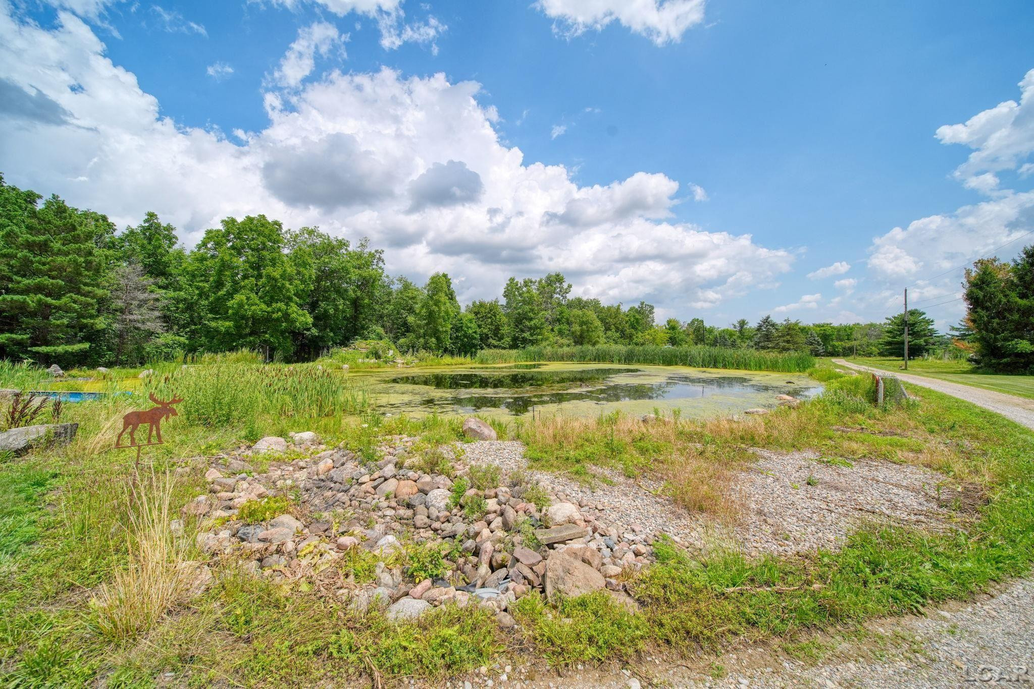 3310 Southard Highway, Adrian, MI 49221 — Photo 59