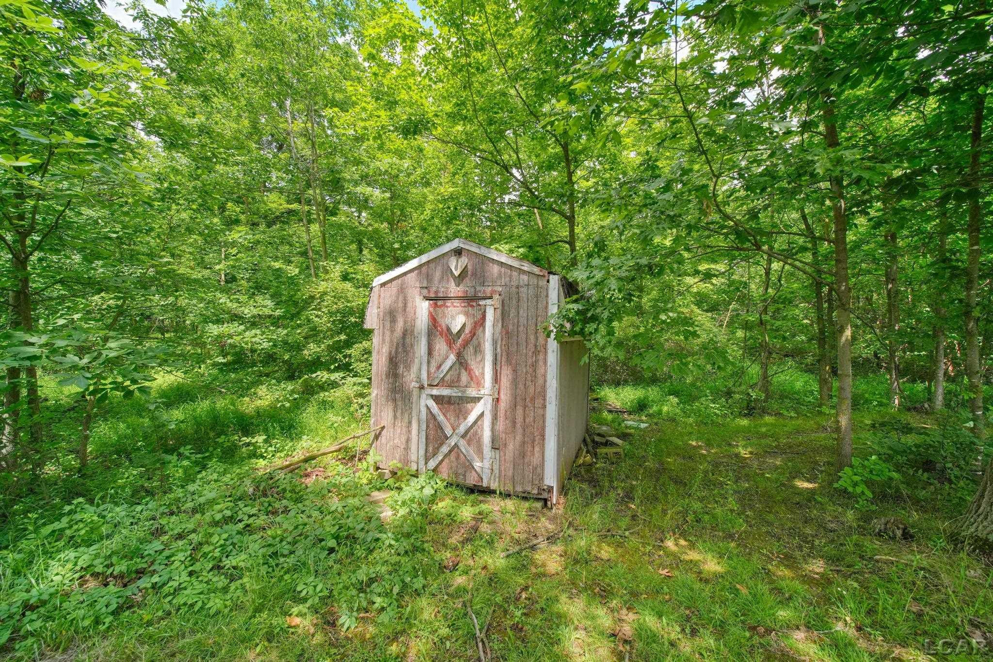 3310 Southard Highway, Adrian, MI 49221 — Photo 63
