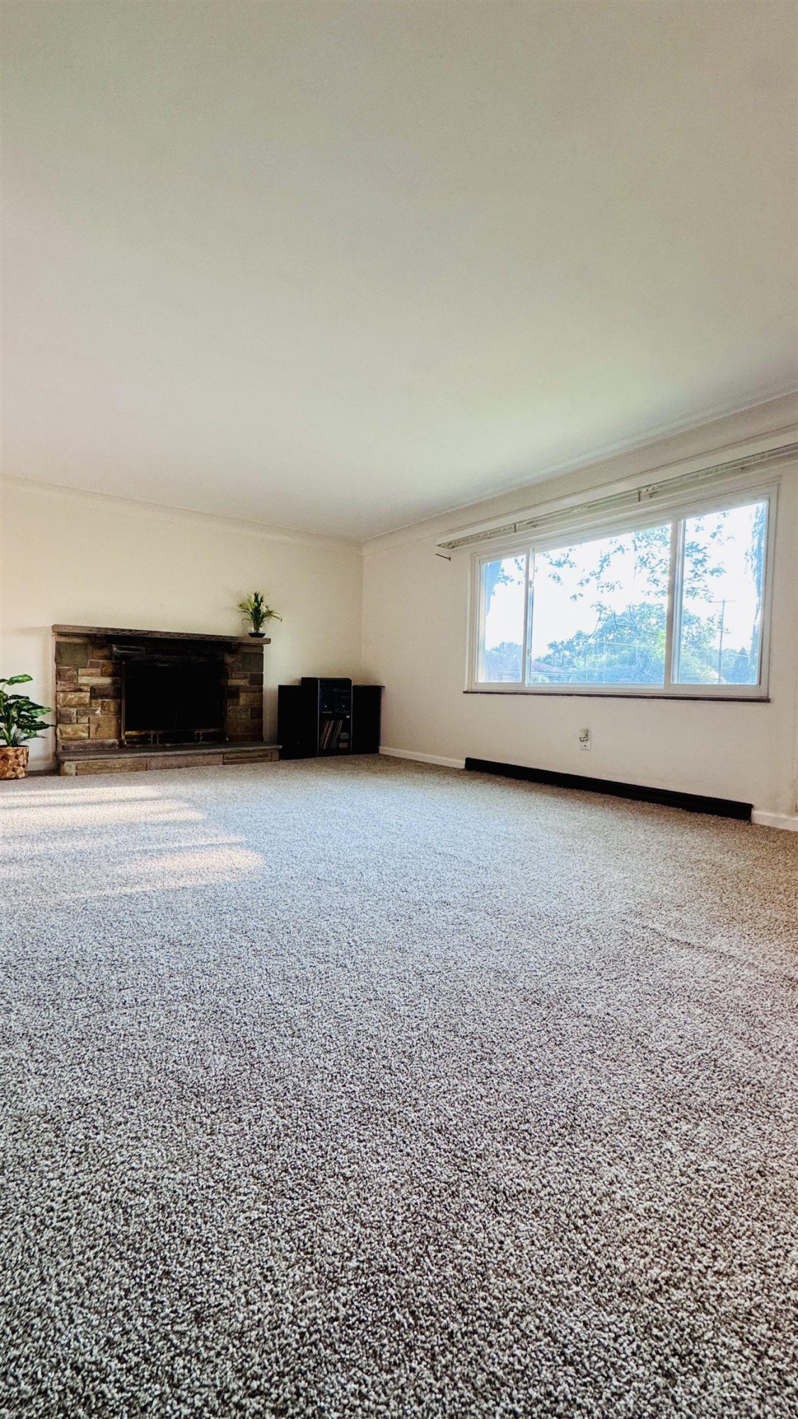 352 S 29th Street, Saginaw, MI 48601 — Photo 11