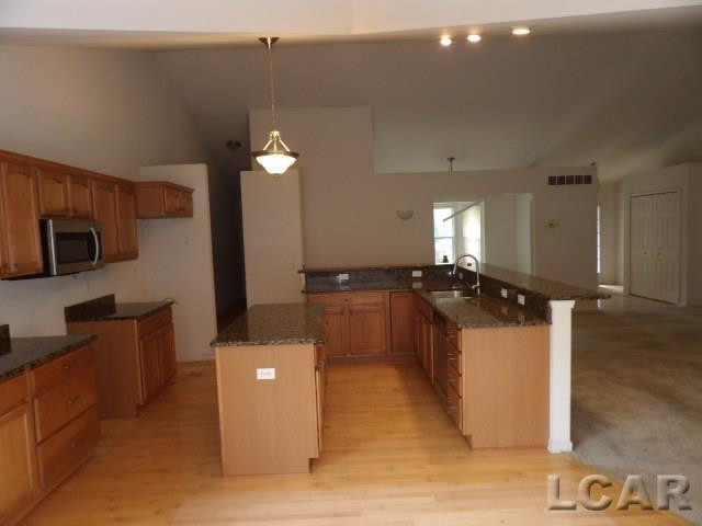 4324 McKenna Drive, Adrian, MI 49221 — Photo 4