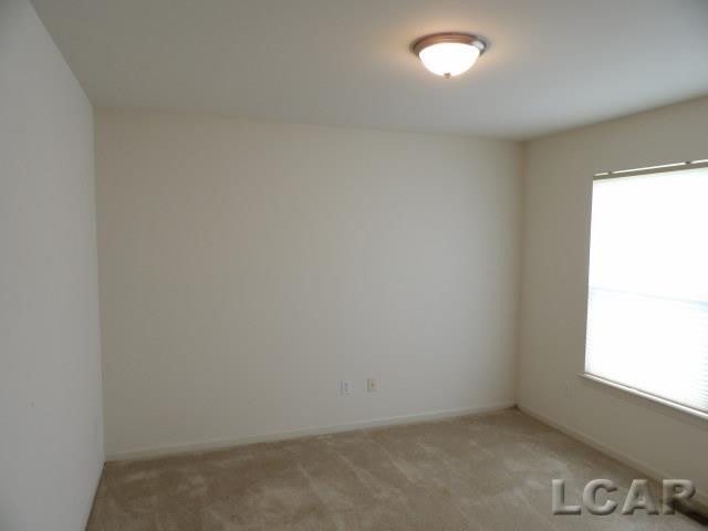 4324 McKenna Drive, Adrian, MI 49221 — Photo 12