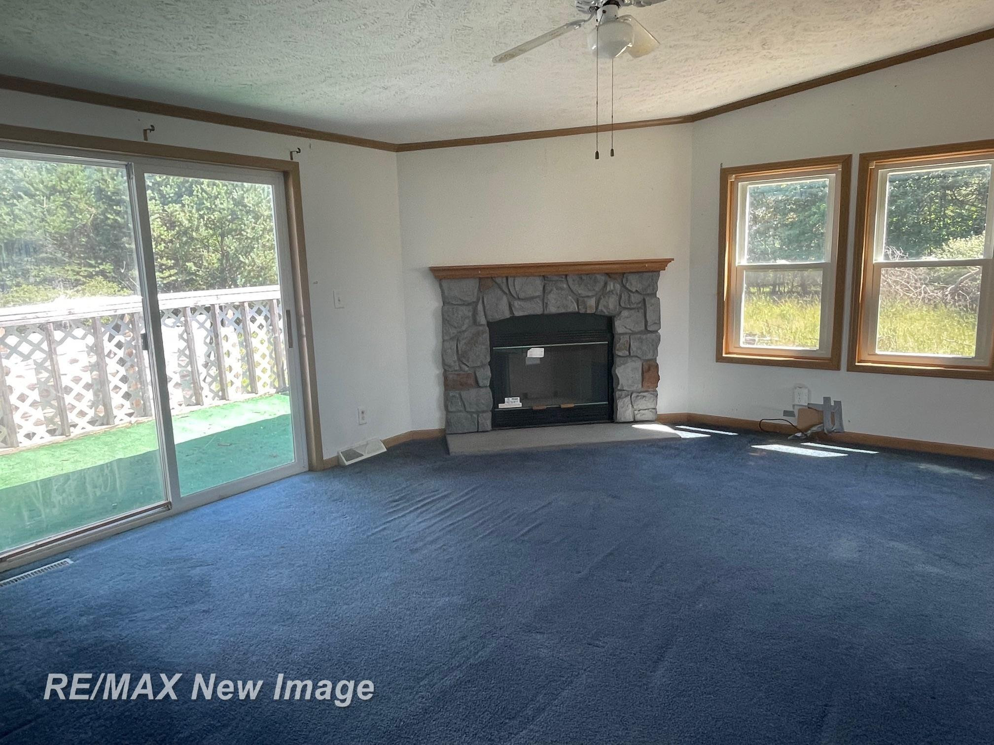 15957 W Burt Road, Chesaning, MI 48616 — Photo 12