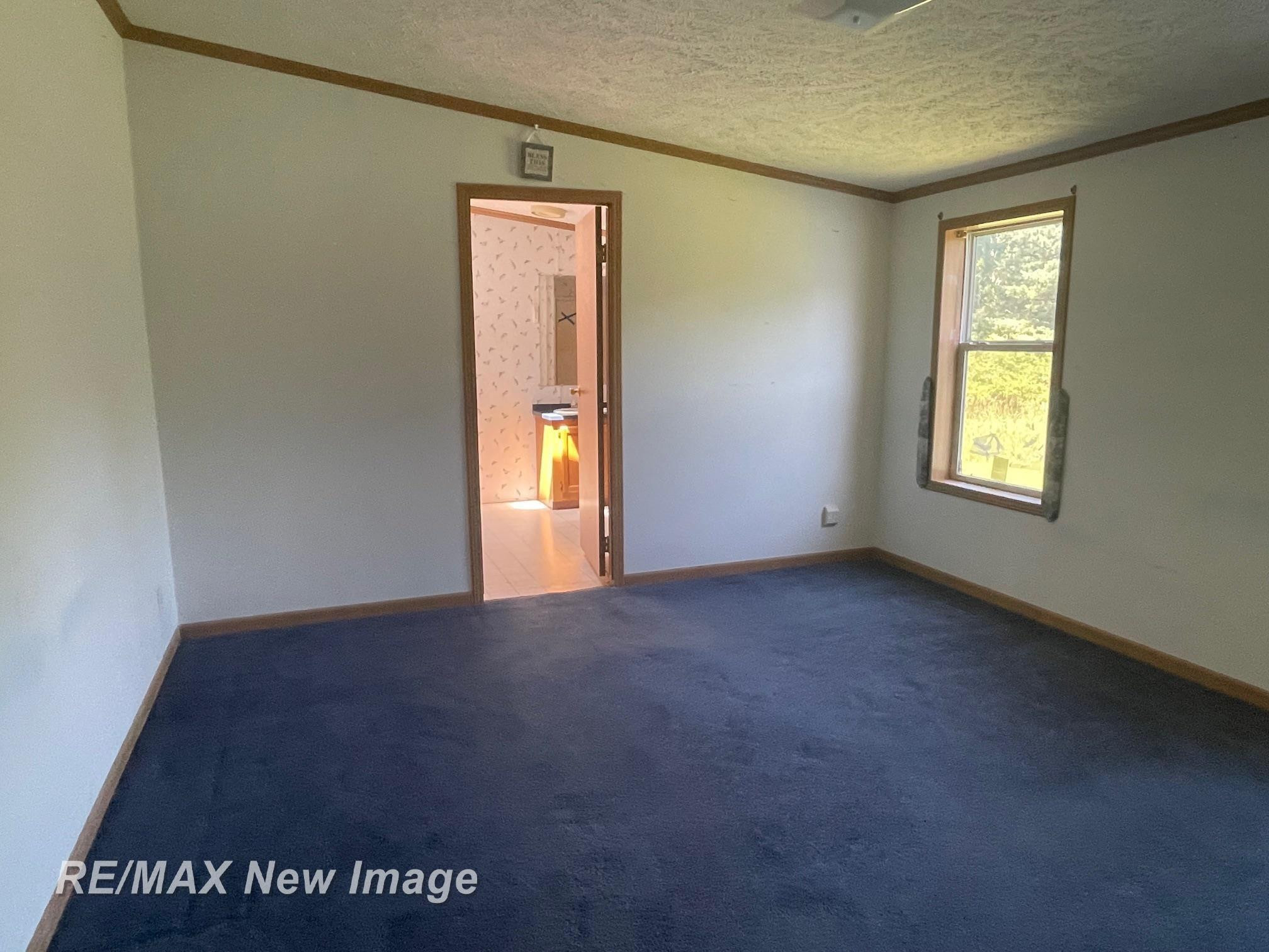 15957 W Burt Road, Chesaning, MI 48616 — Photo 13