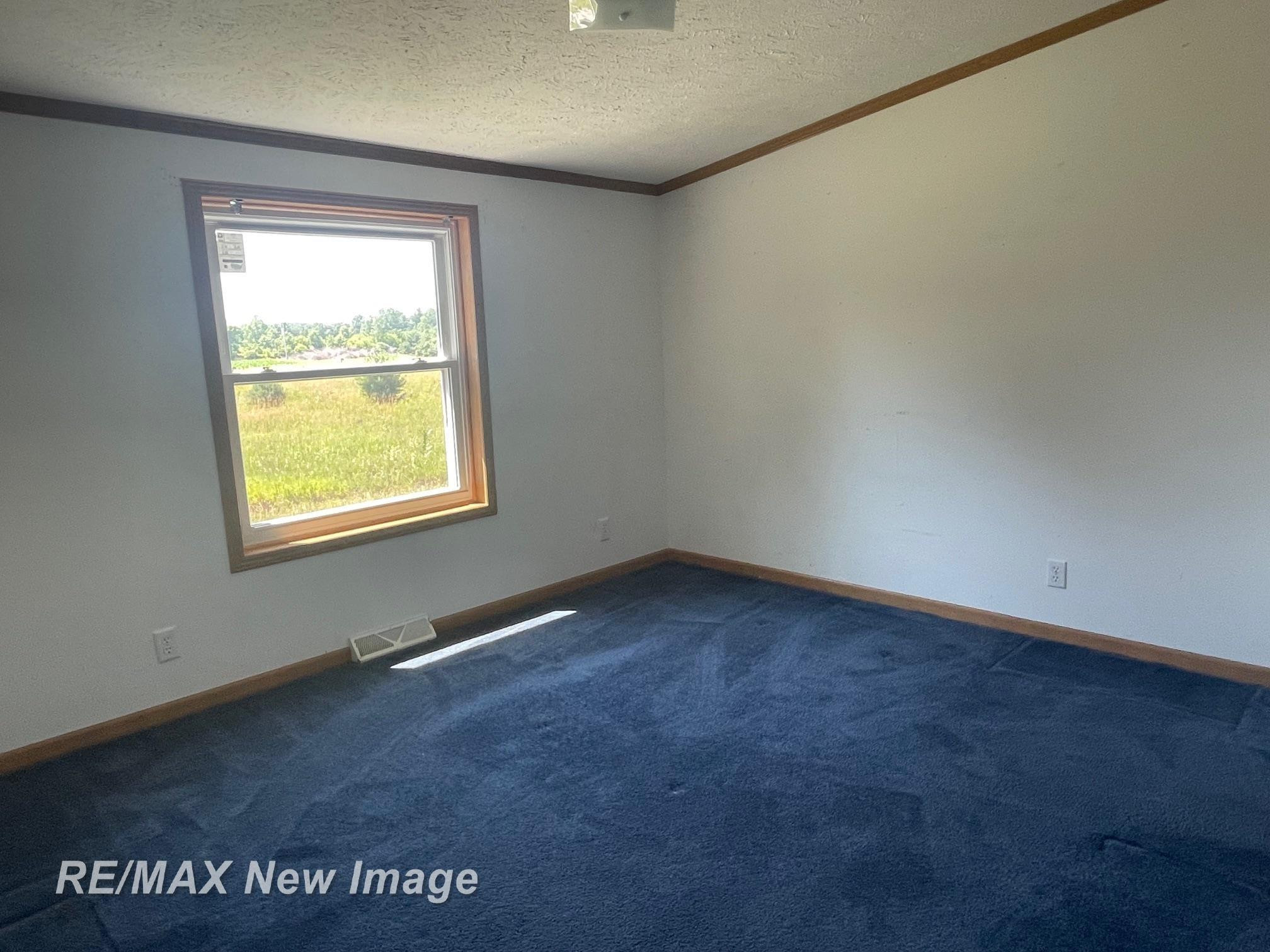 15957 W Burt Road, Chesaning, MI 48616 — Photo 16
